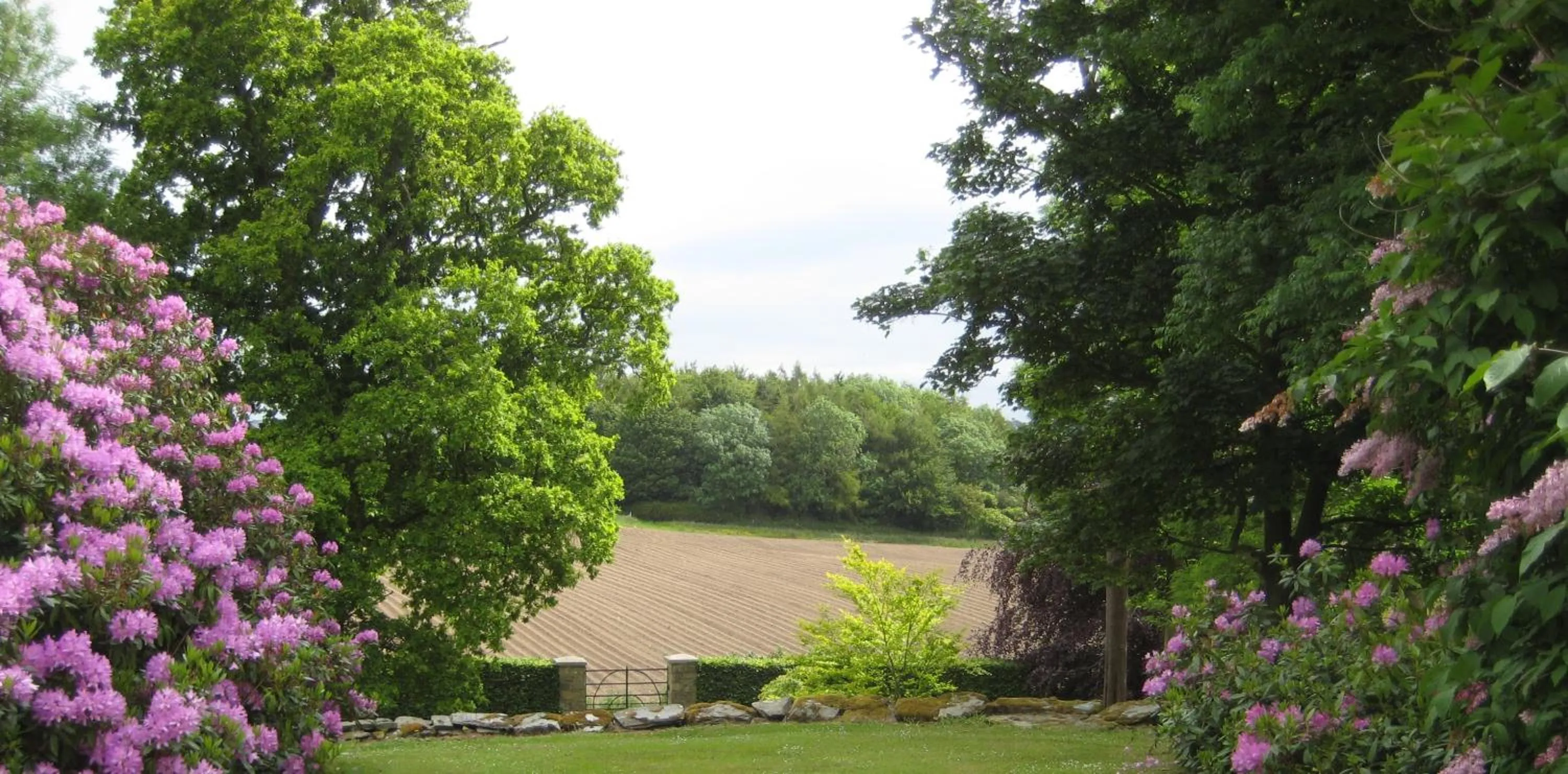 Ballydugan Country House