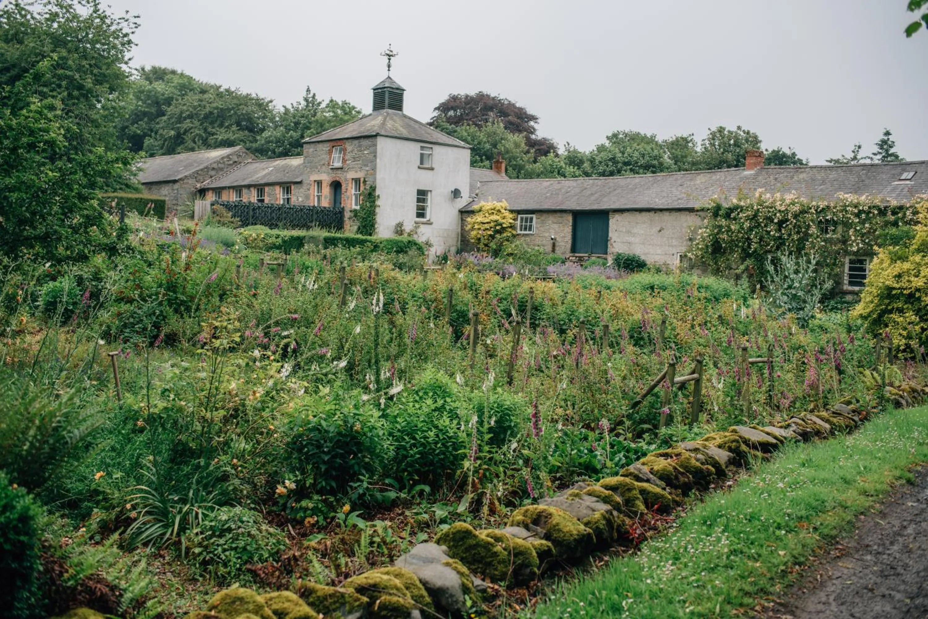 Garden view in Ballydugan Country House