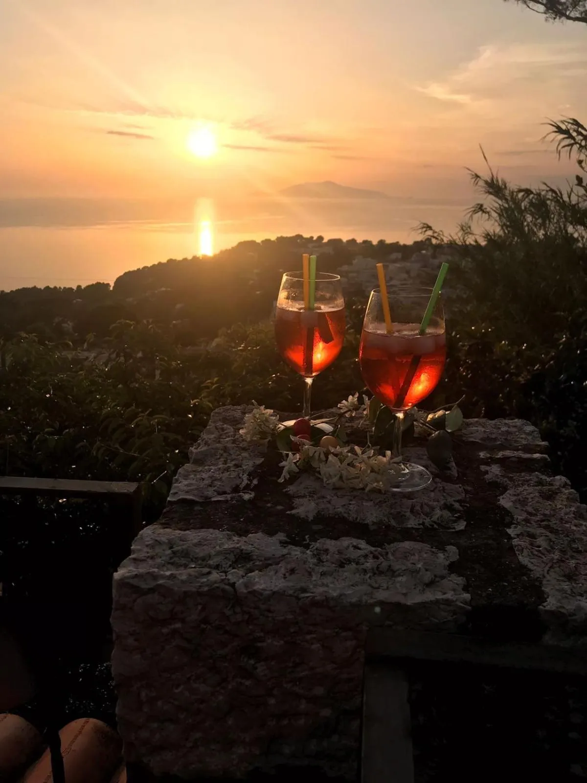 Garden view in Agriturismo del Sole