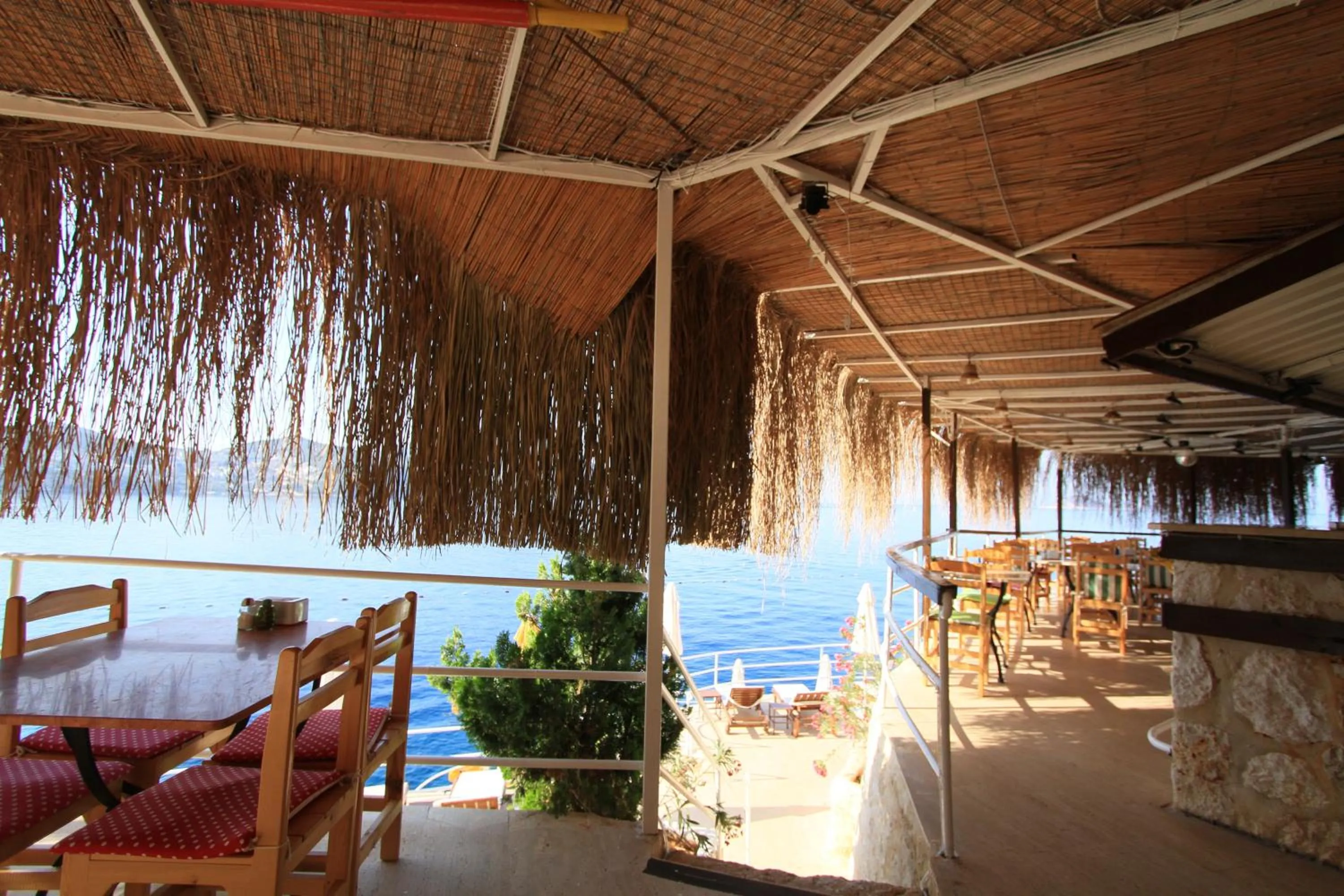 Restaurant/places to eat in Caretta Hotel