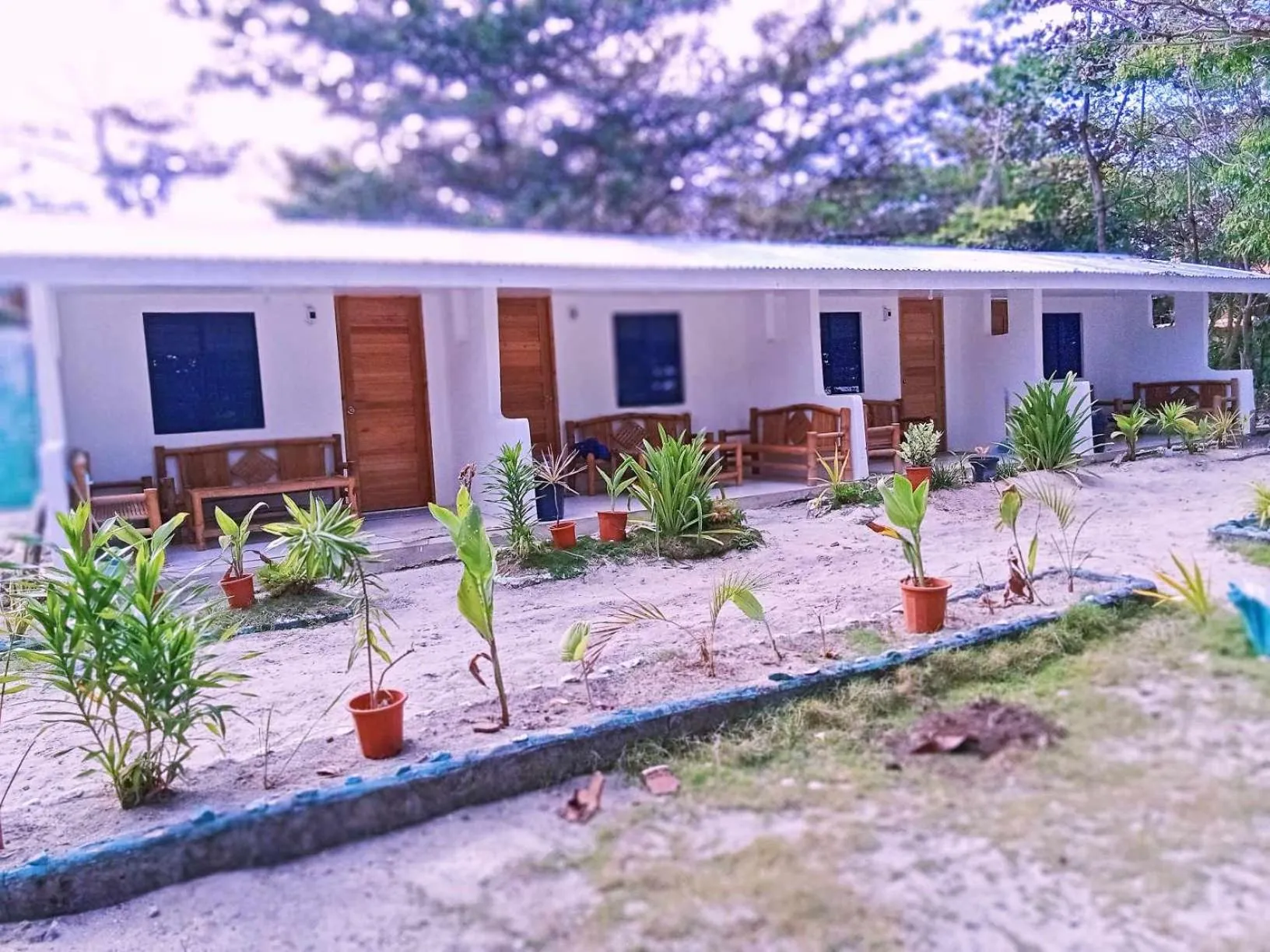 Garden in Mabuhay Thresher Dive Resort