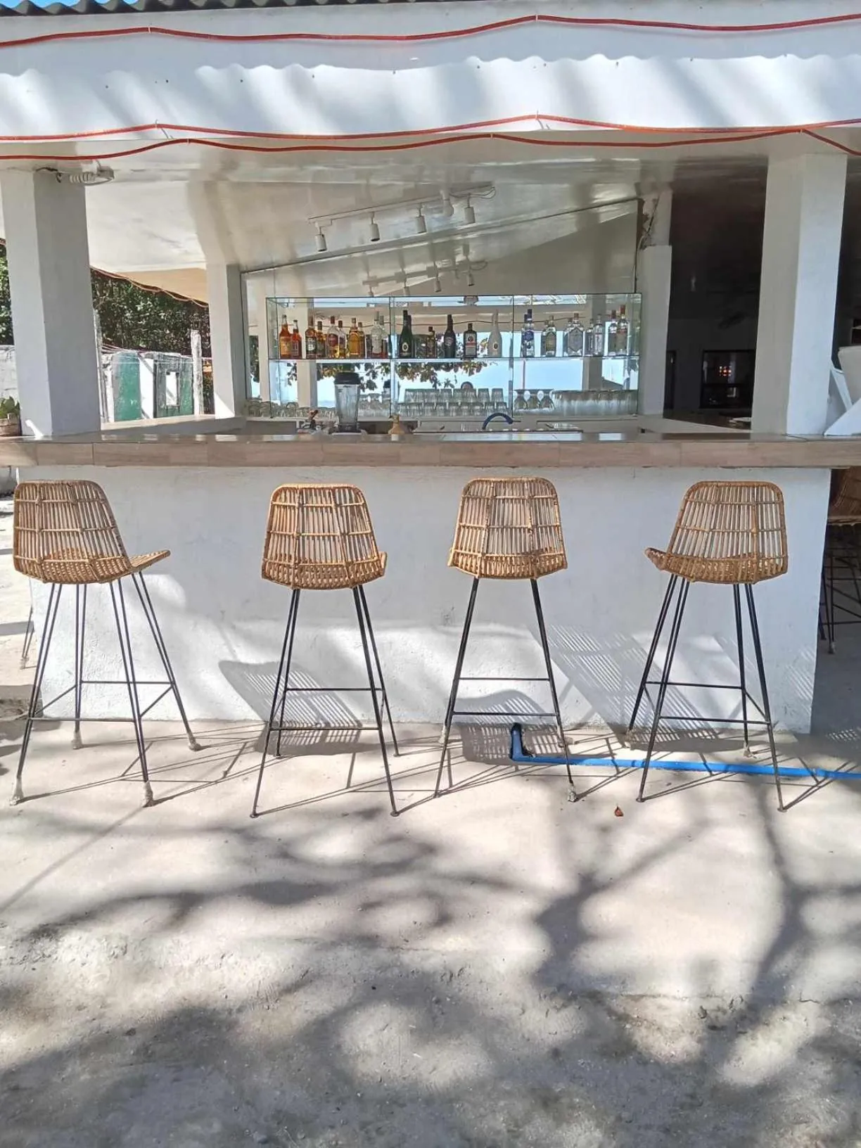 Lounge or bar in Mabuhay Thresher Dive Resort