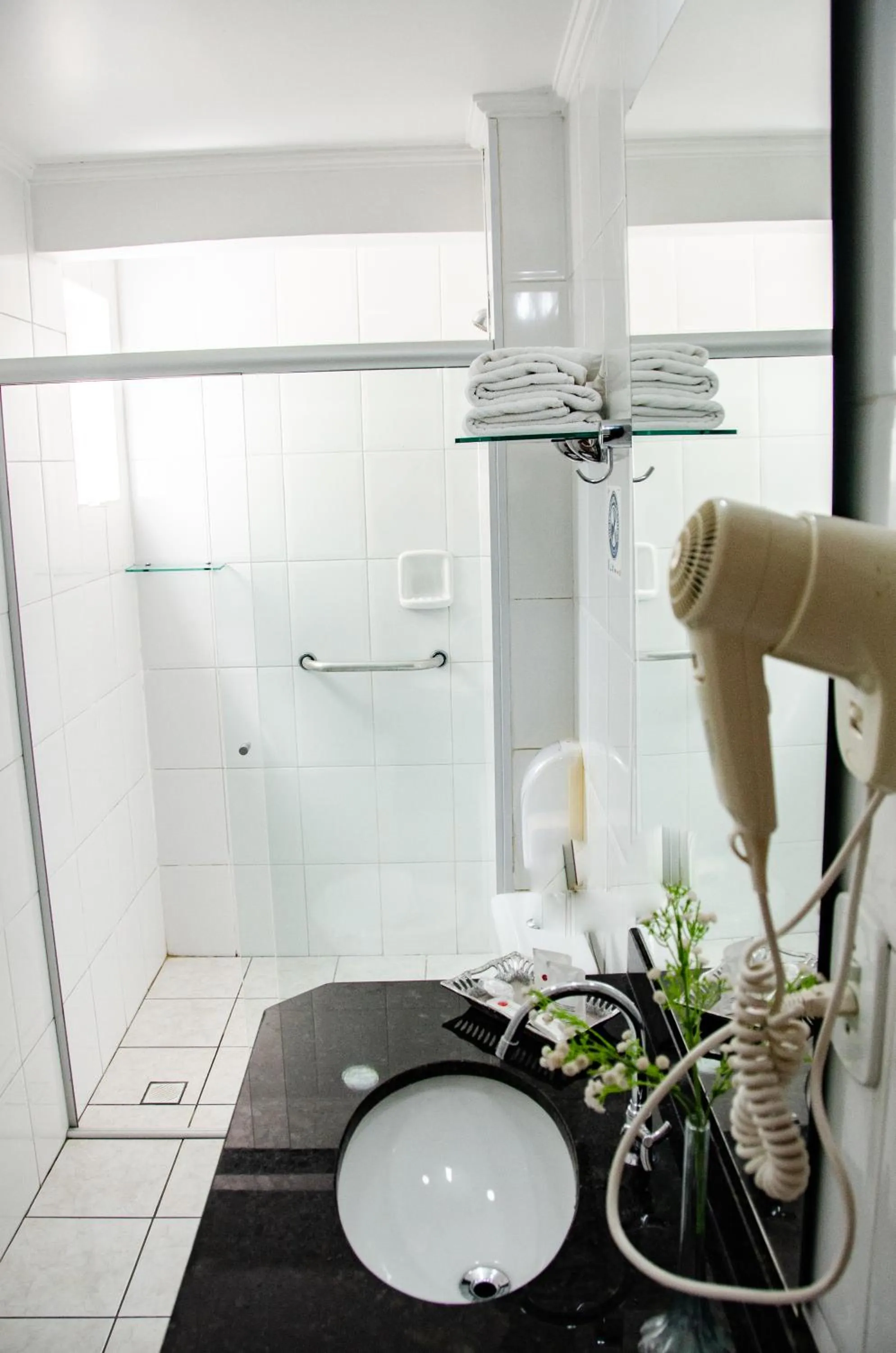 Bathroom in Hotel Ferraz