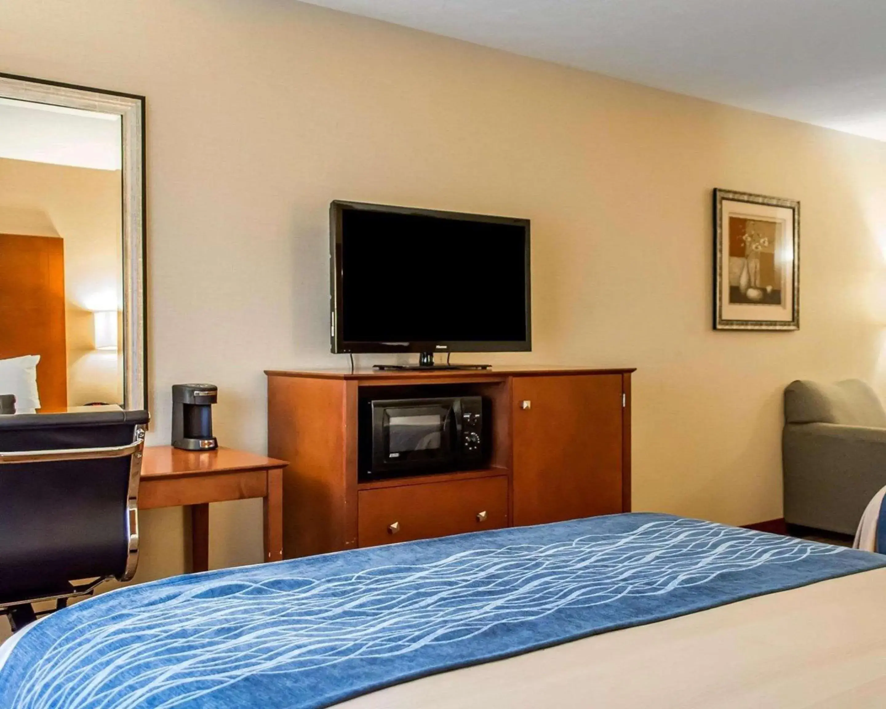 Bedroom, TV/Entertainment Center in Comfort Inn And Suites Franklin