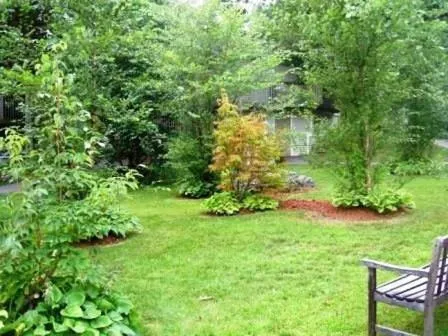 Day in Cedar Park Inn