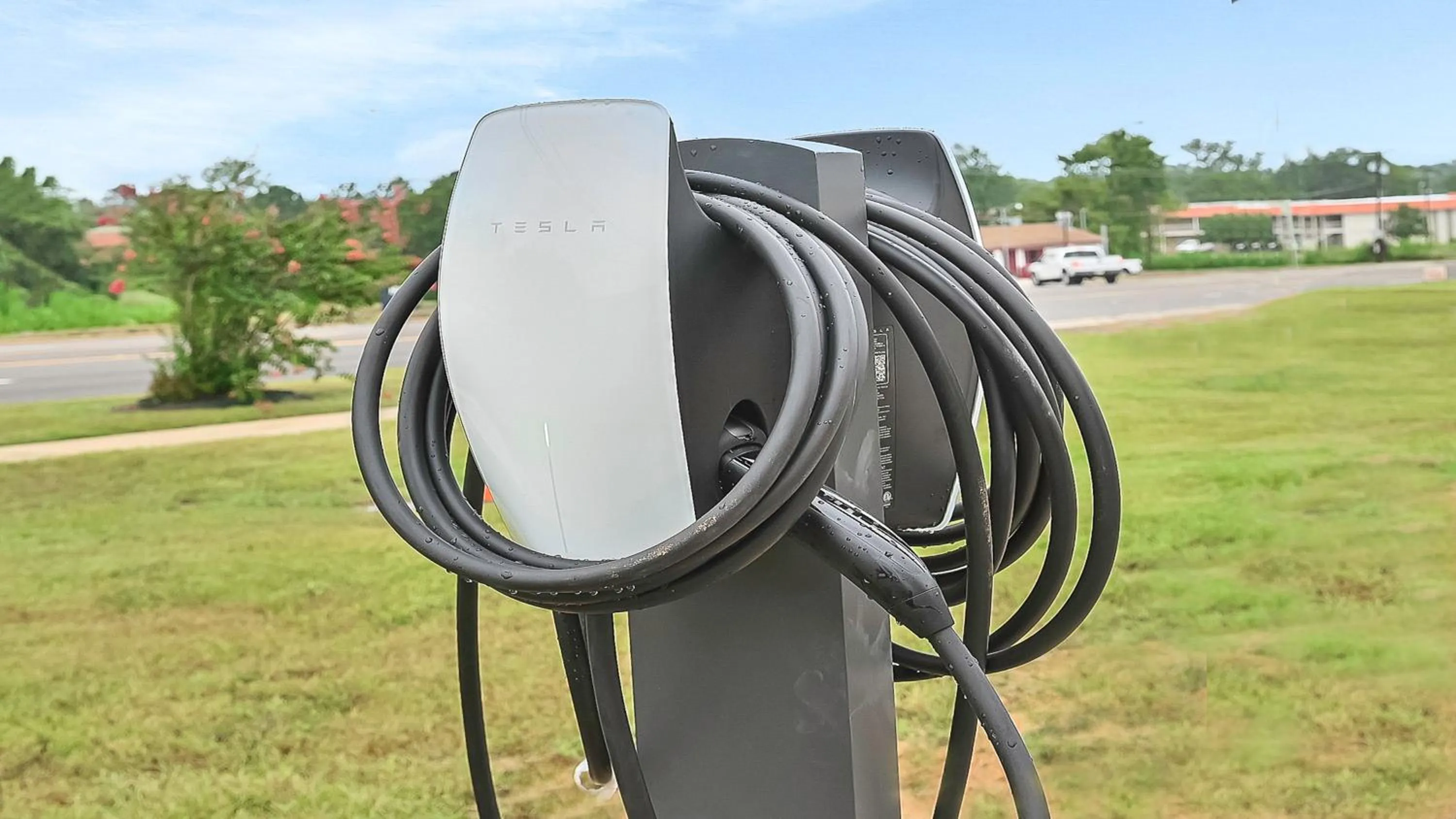 Other in Holiday Inn Express Palestine by IHG