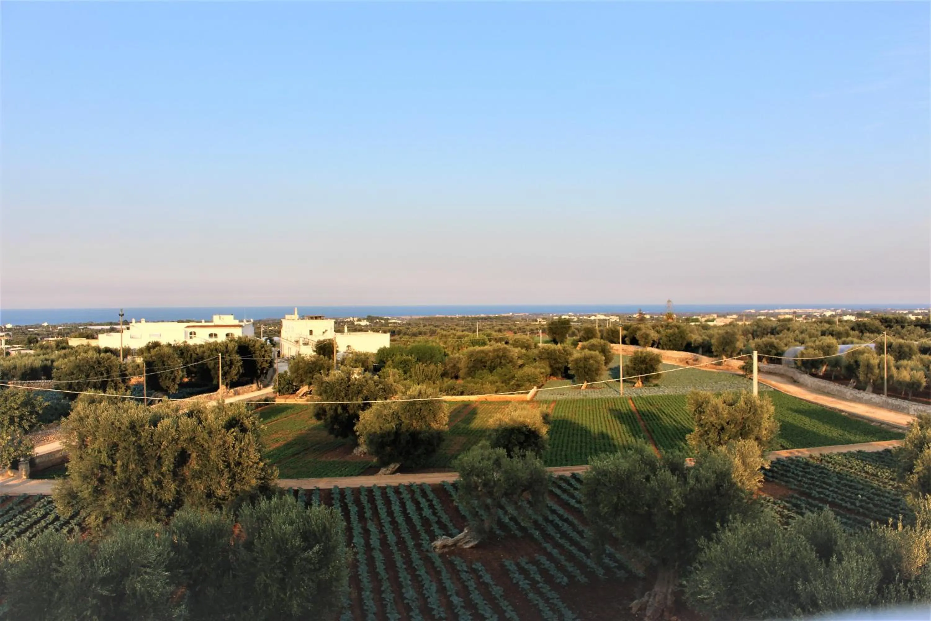 Natural landscape in Don Peppe B&B