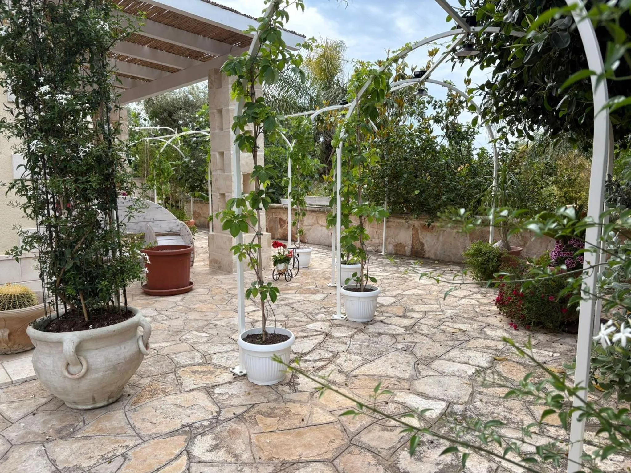 Garden in Don Peppe B&B