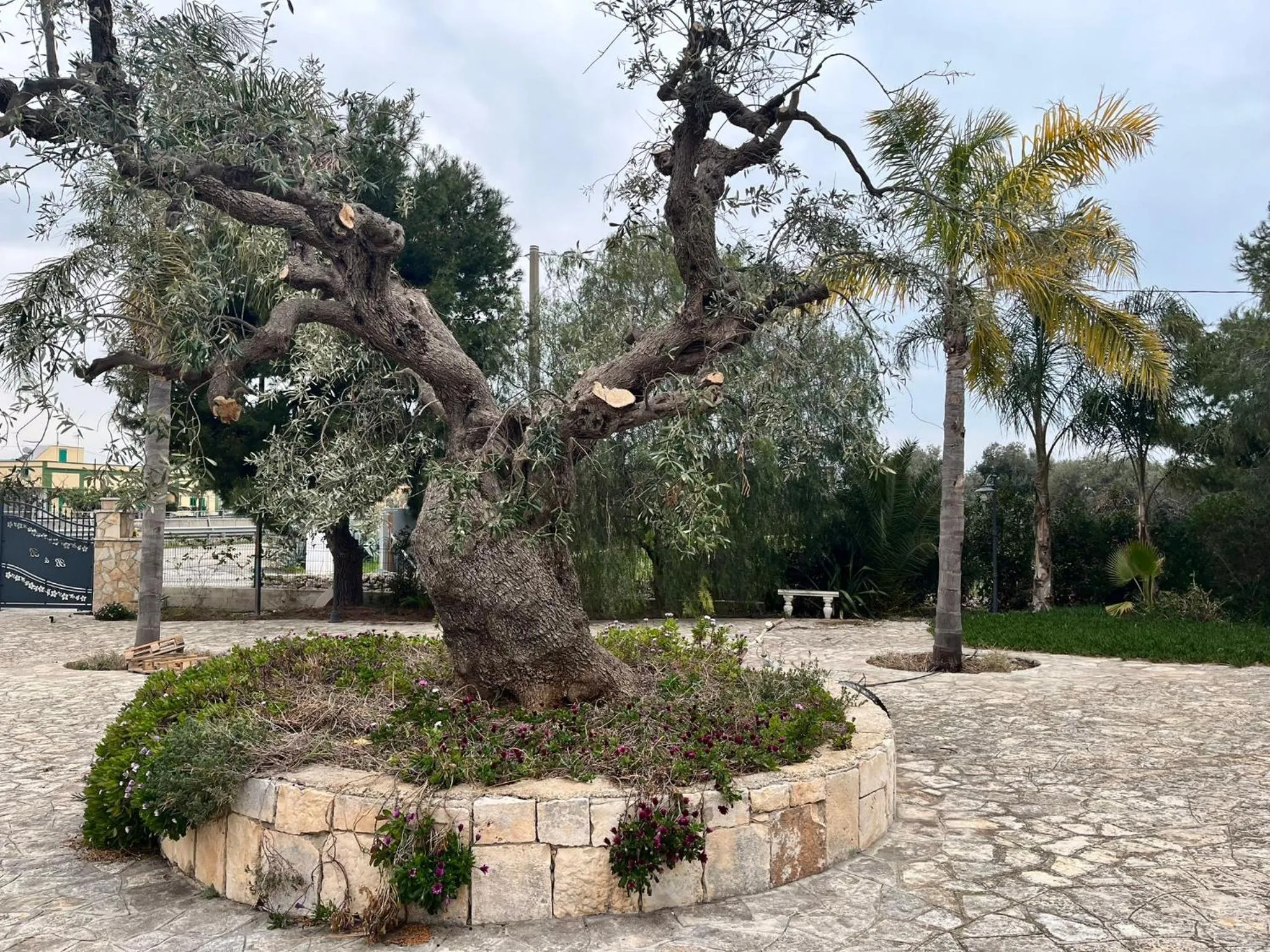 Spring in Don Peppe B&B