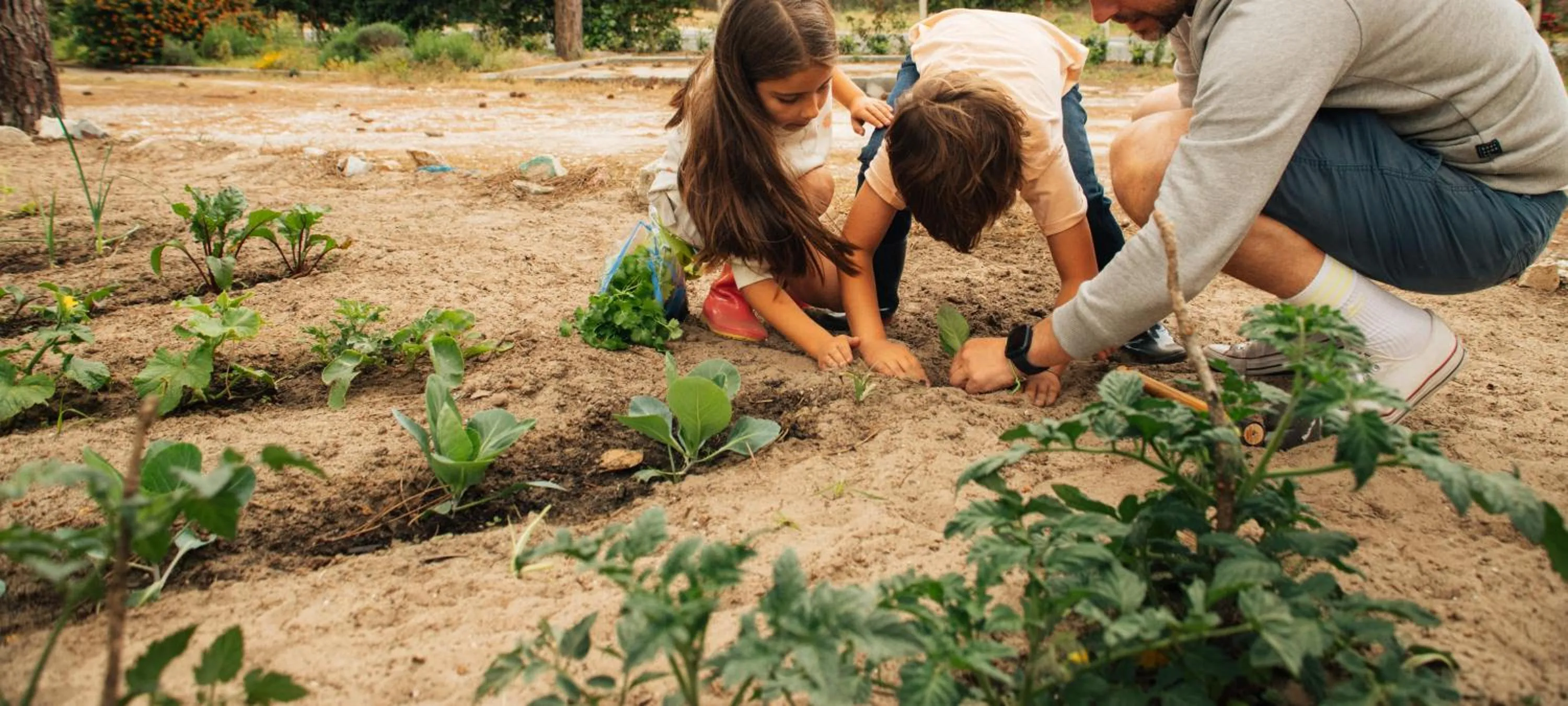 Activities in Ohai Nazaré Outdoor Resort
