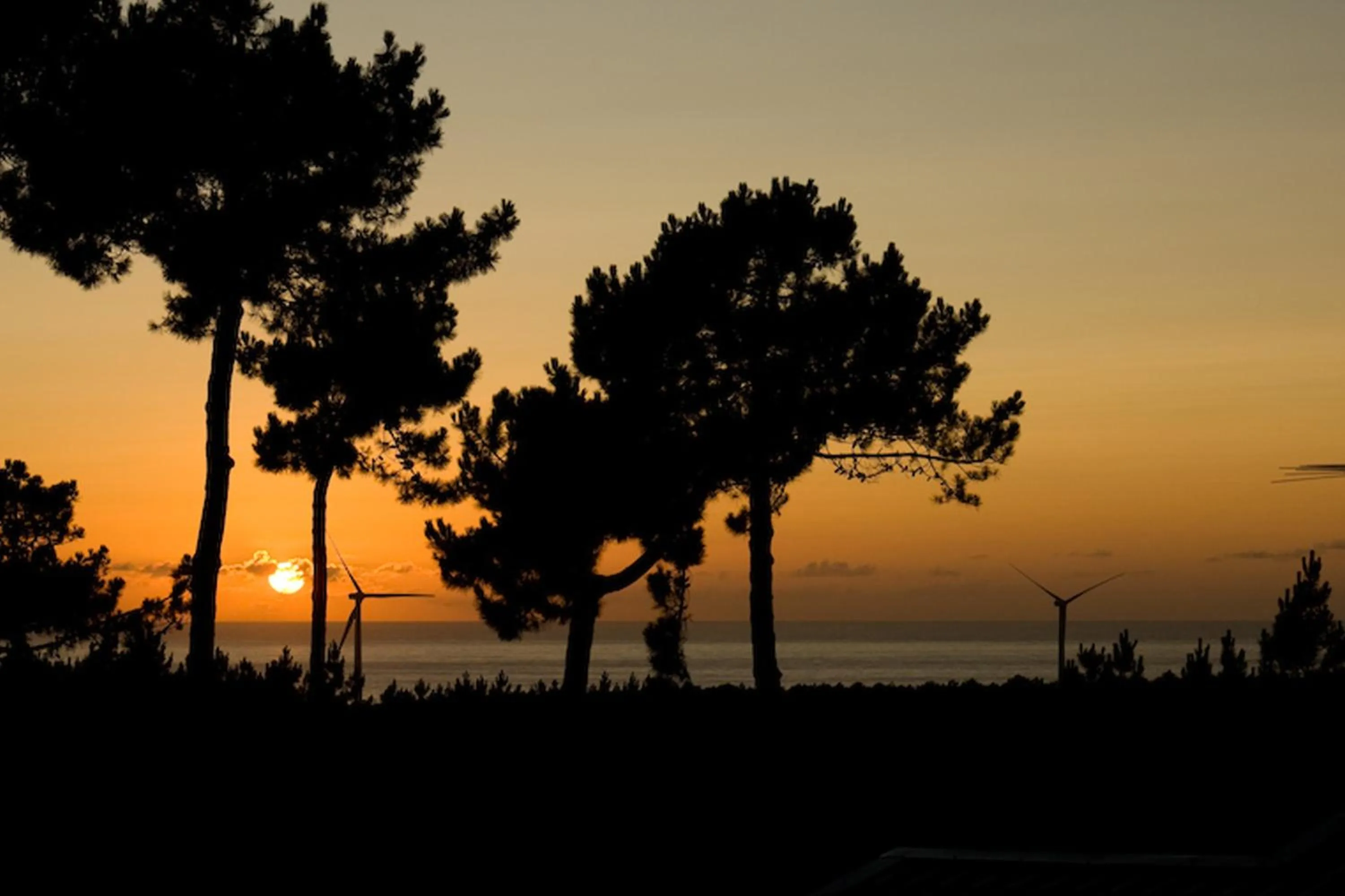 Natural landscape in Ohai Nazaré Outdoor Resort
