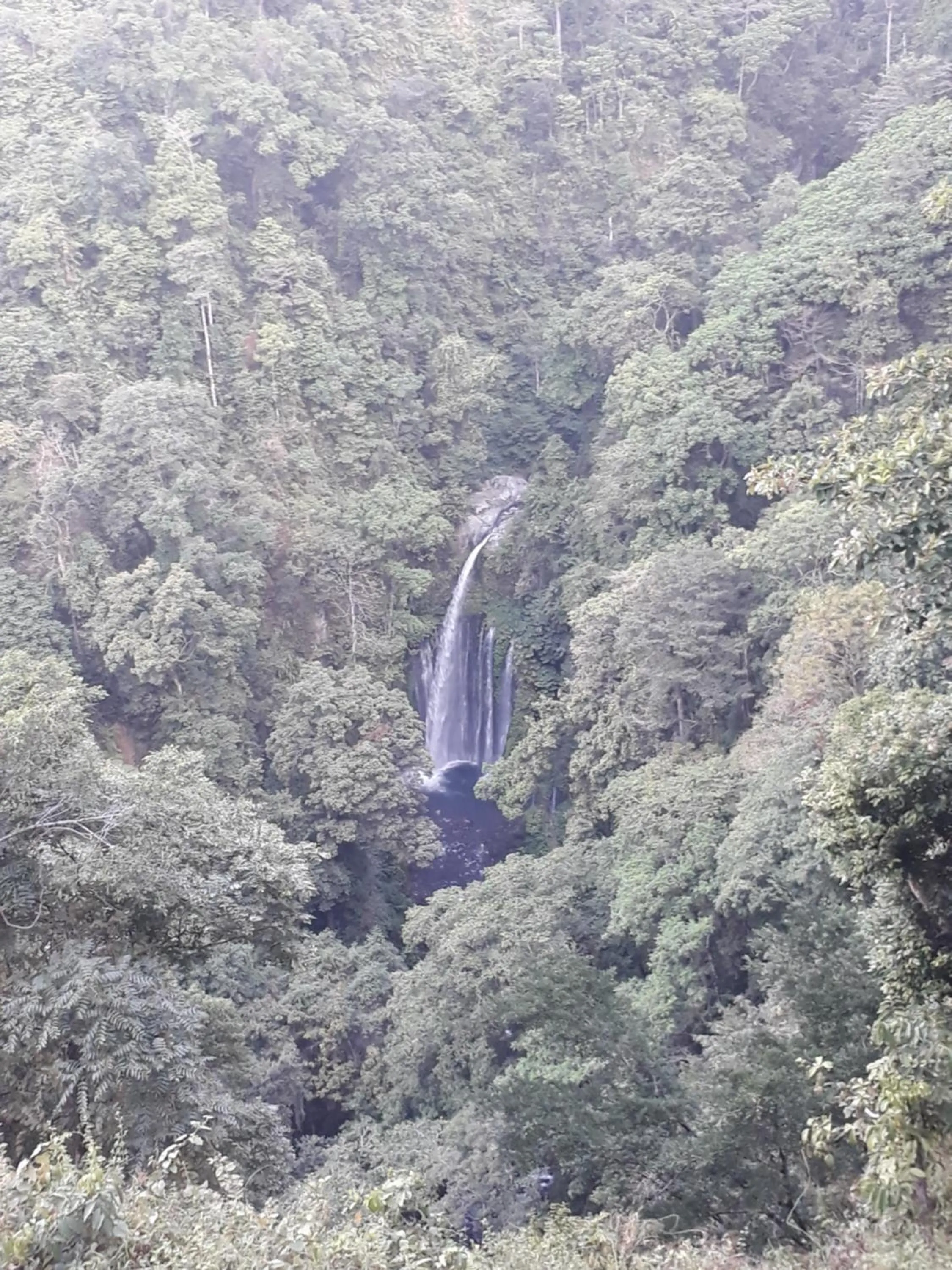 Natural landscape in Ila Homestay