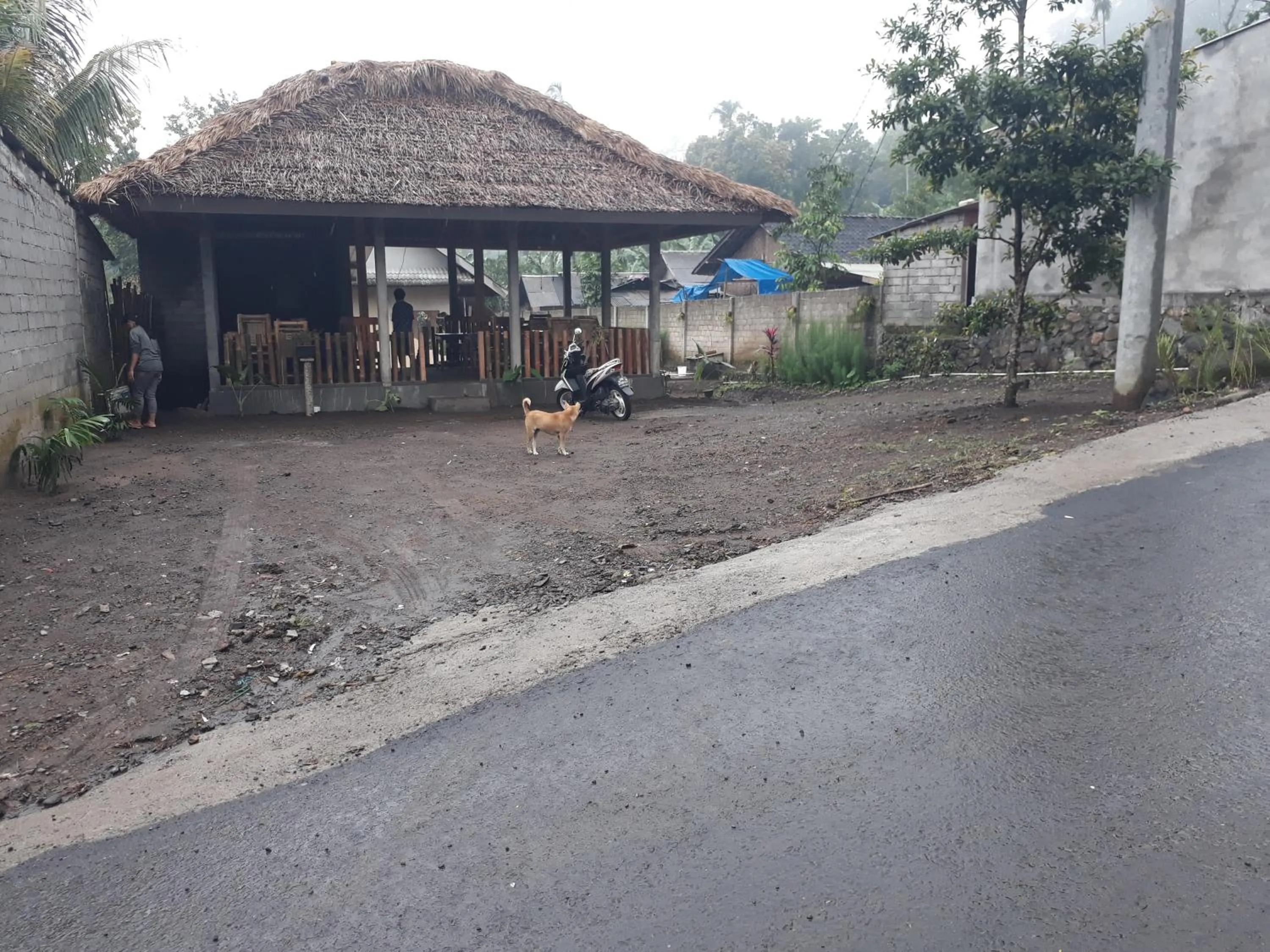 Restaurant/places to eat in Ila Homestay