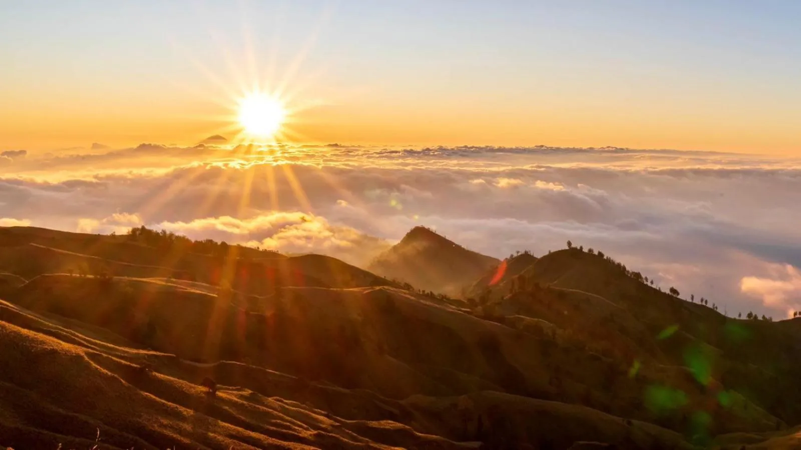 Ila Homestay