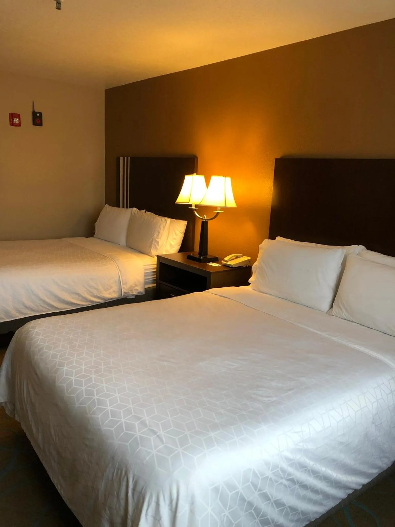 Photo of the whole room, Bed in Holiday Inn Express Winnemucca by IHG