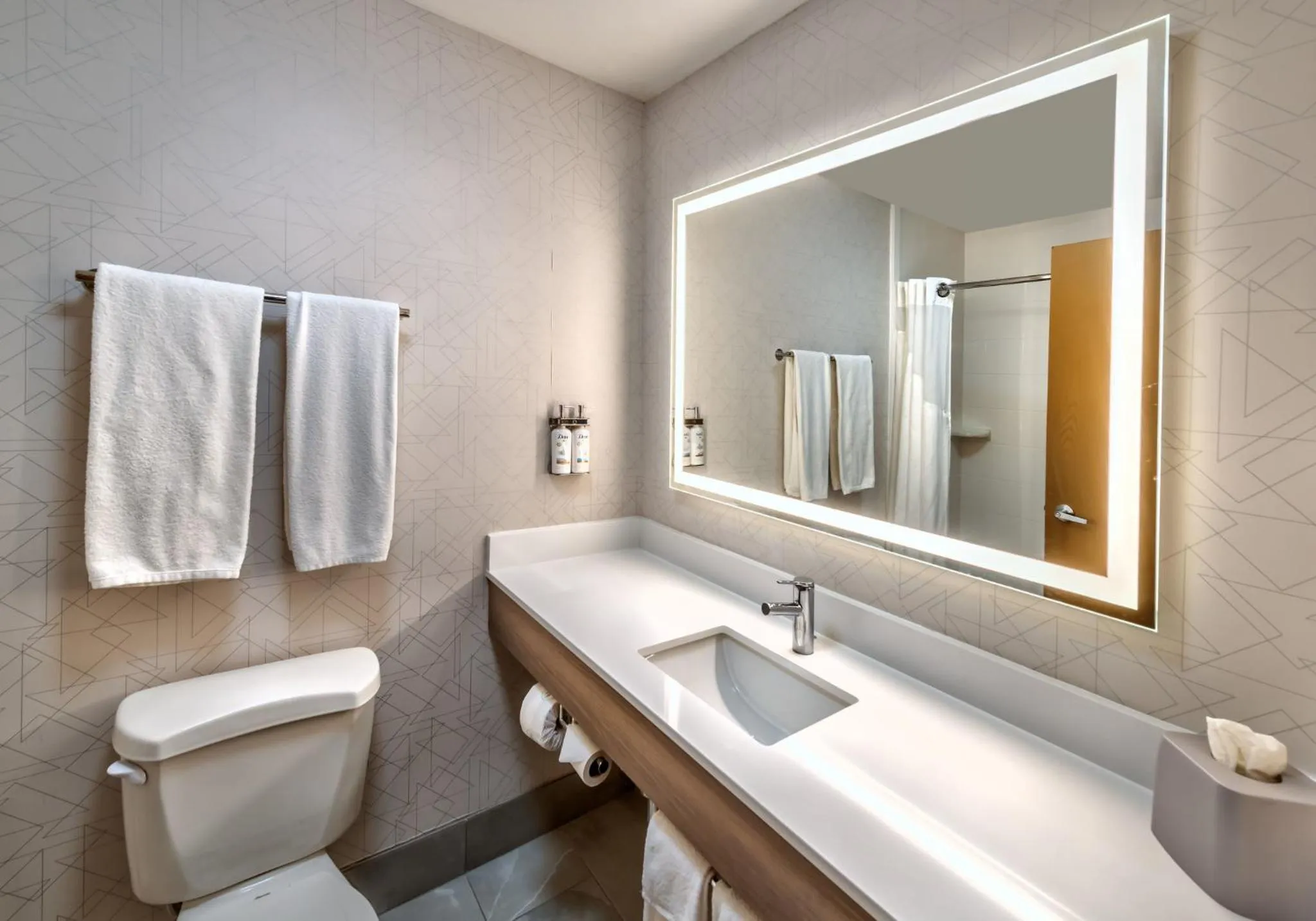 Bathroom in Holiday Inn Express Winnemucca by IHG