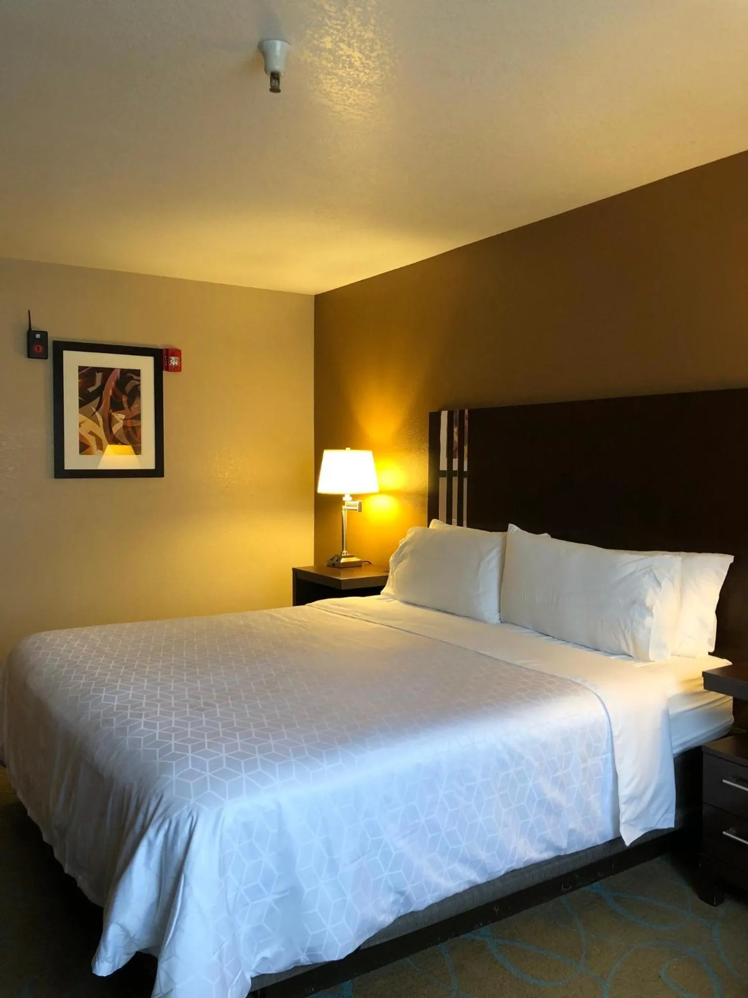 Photo of the whole room, Bed in Holiday Inn Express Winnemucca by IHG