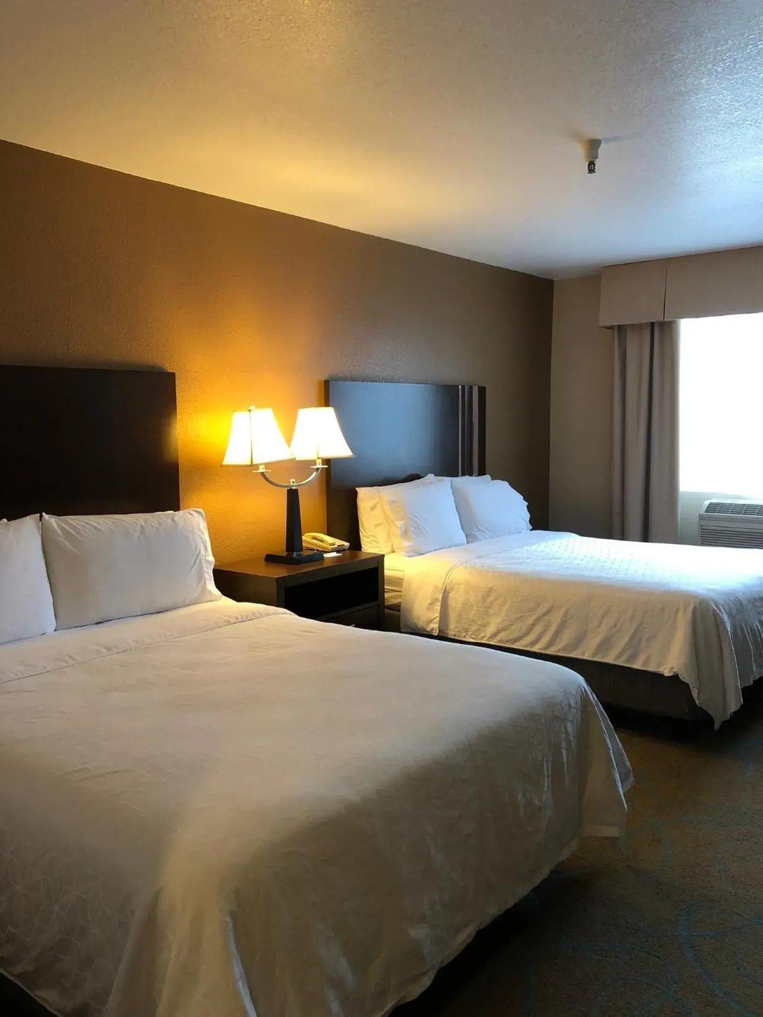 Photo of the whole room, Bed in Holiday Inn Express Winnemucca by IHG Photo of the whole room, Bed in Holiday Inn Express Winnemucca by IHG