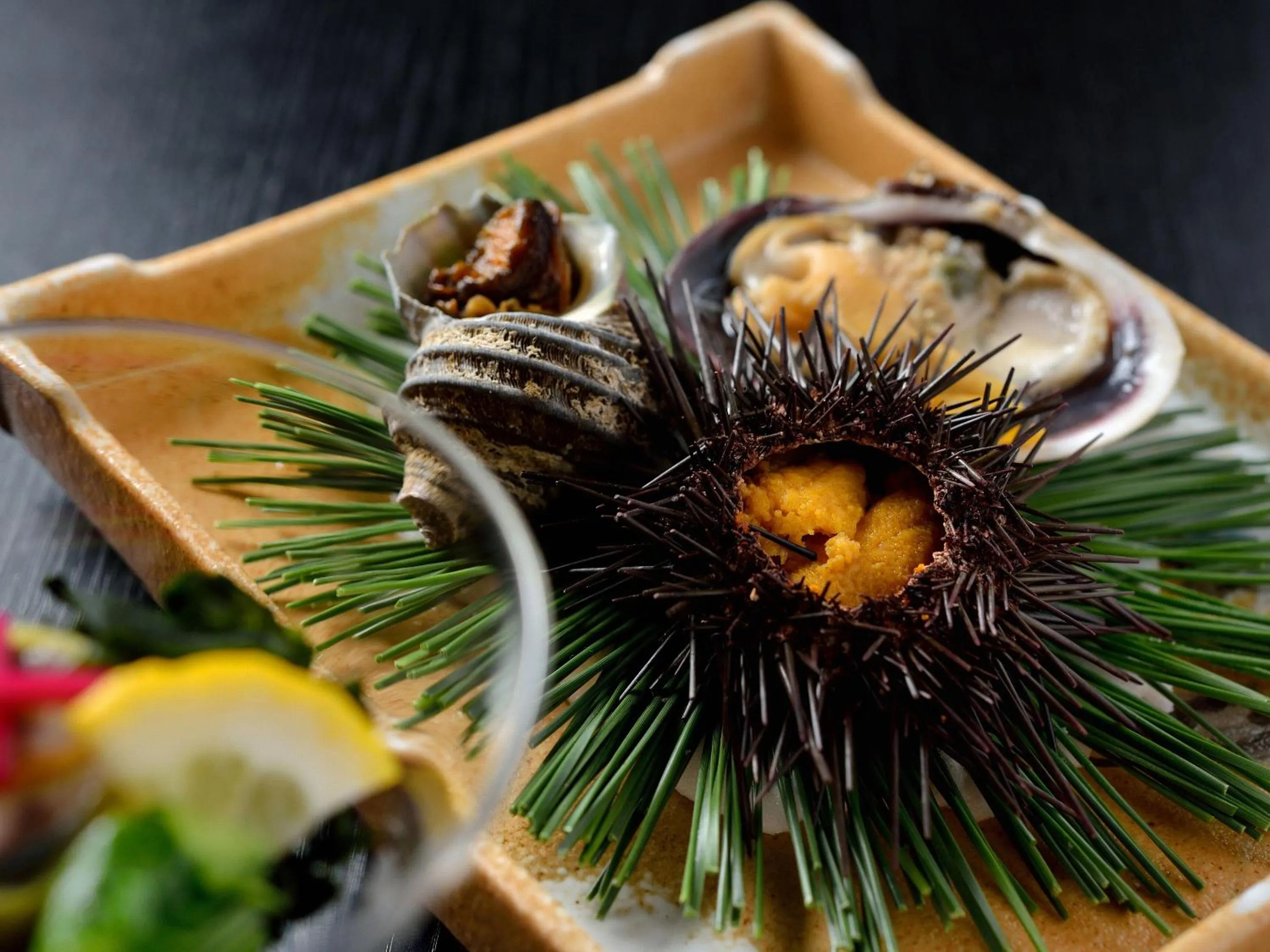 Food close-up in Hamachiyokan