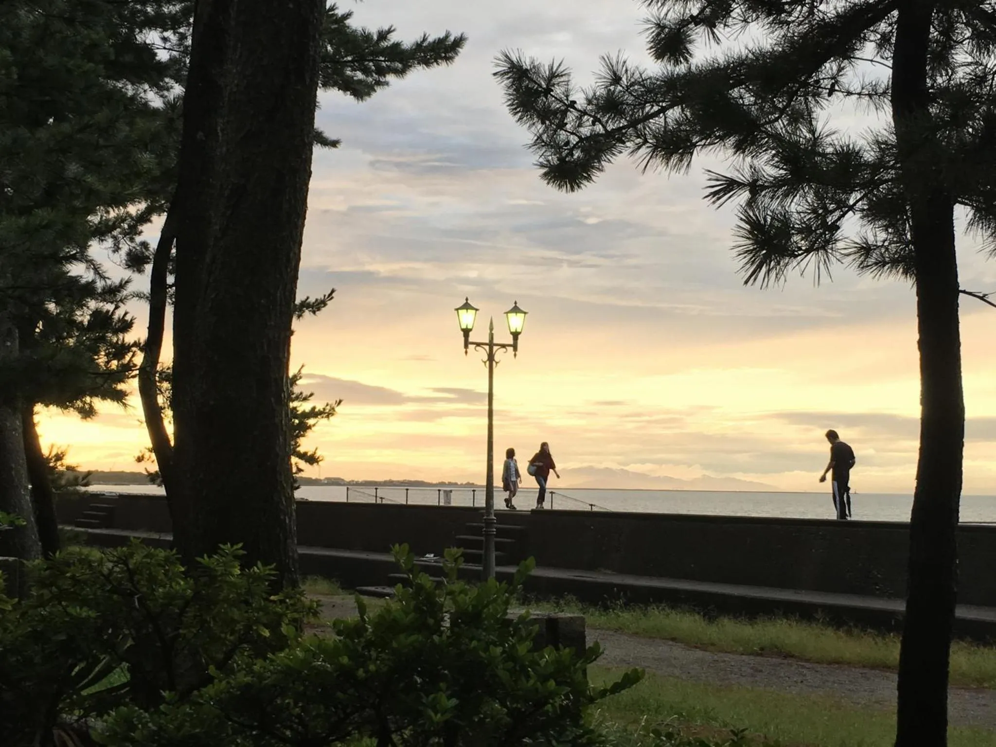 Property building in Hamachiyokan