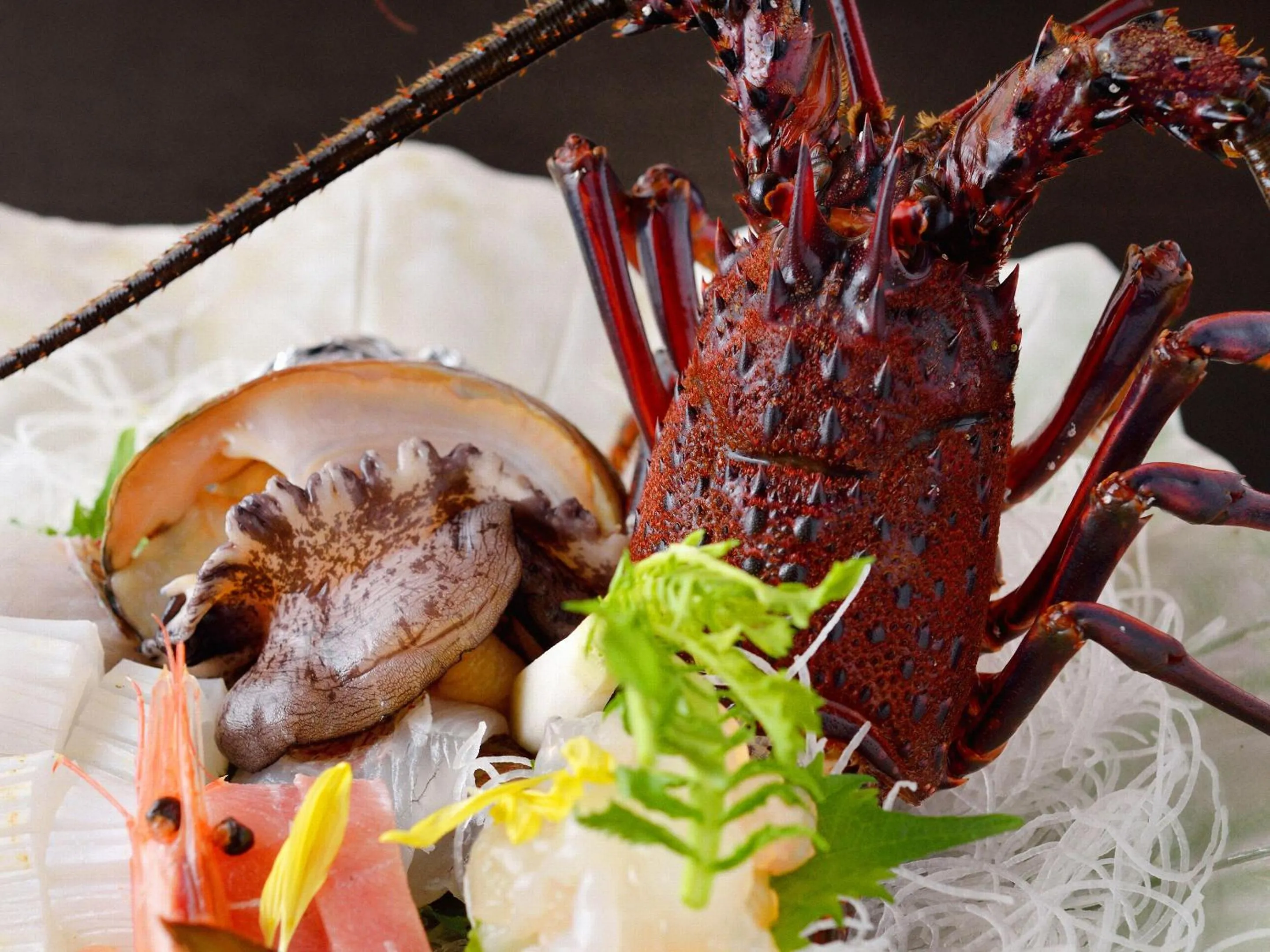 Food close-up in Hamachiyokan