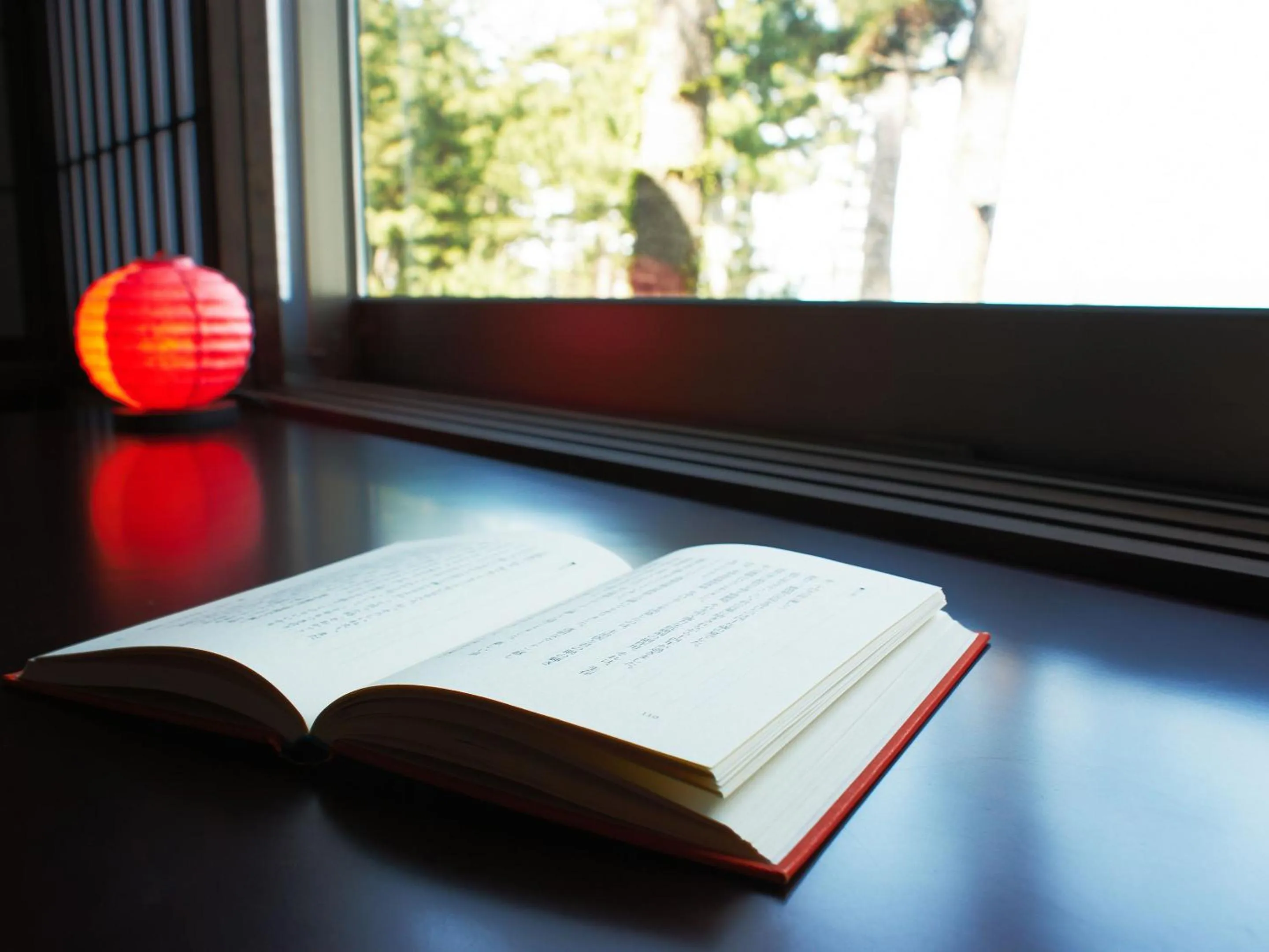 View (from property/room) in Hamachiyokan