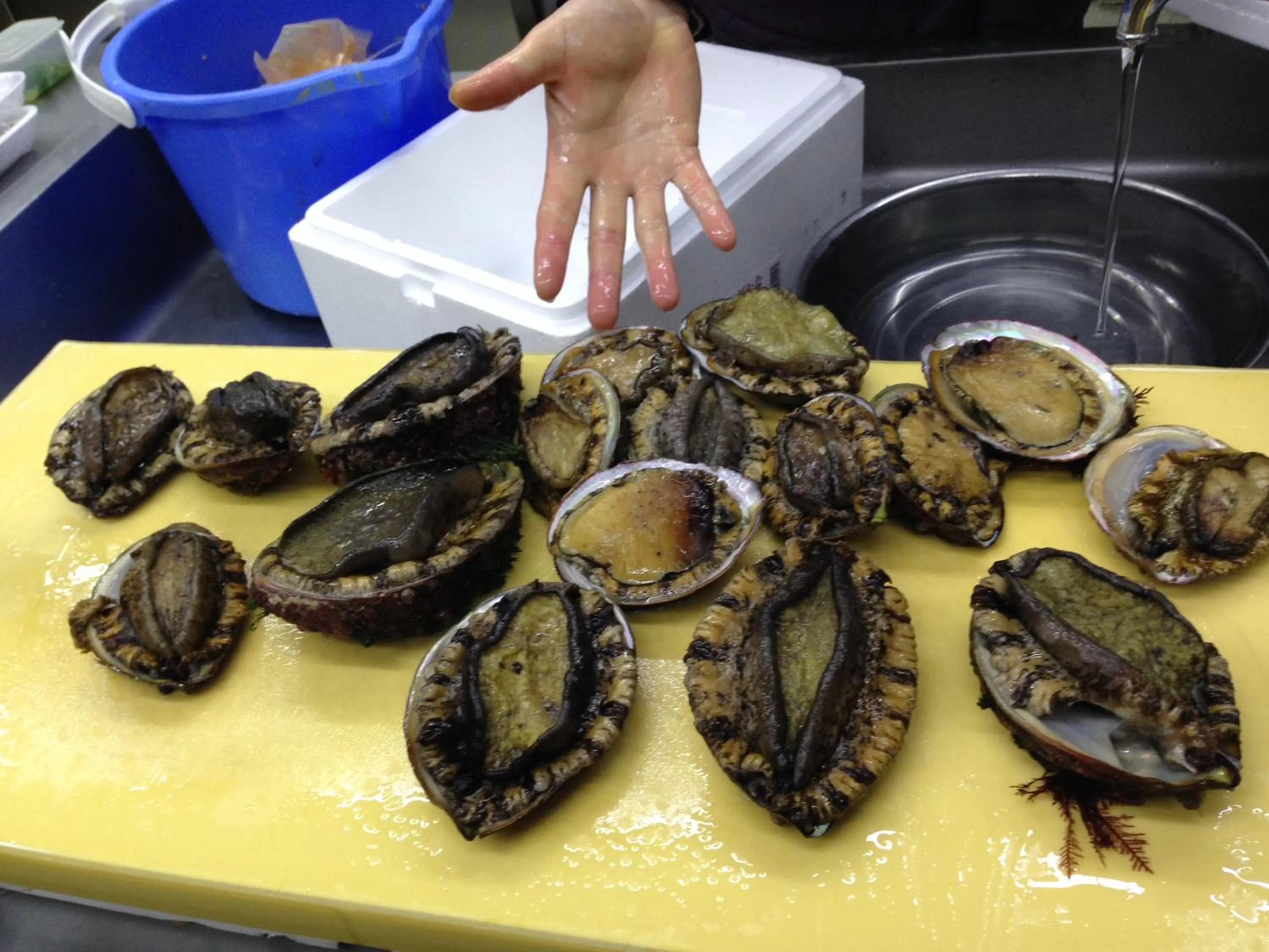 Food close-up in Nanauraso