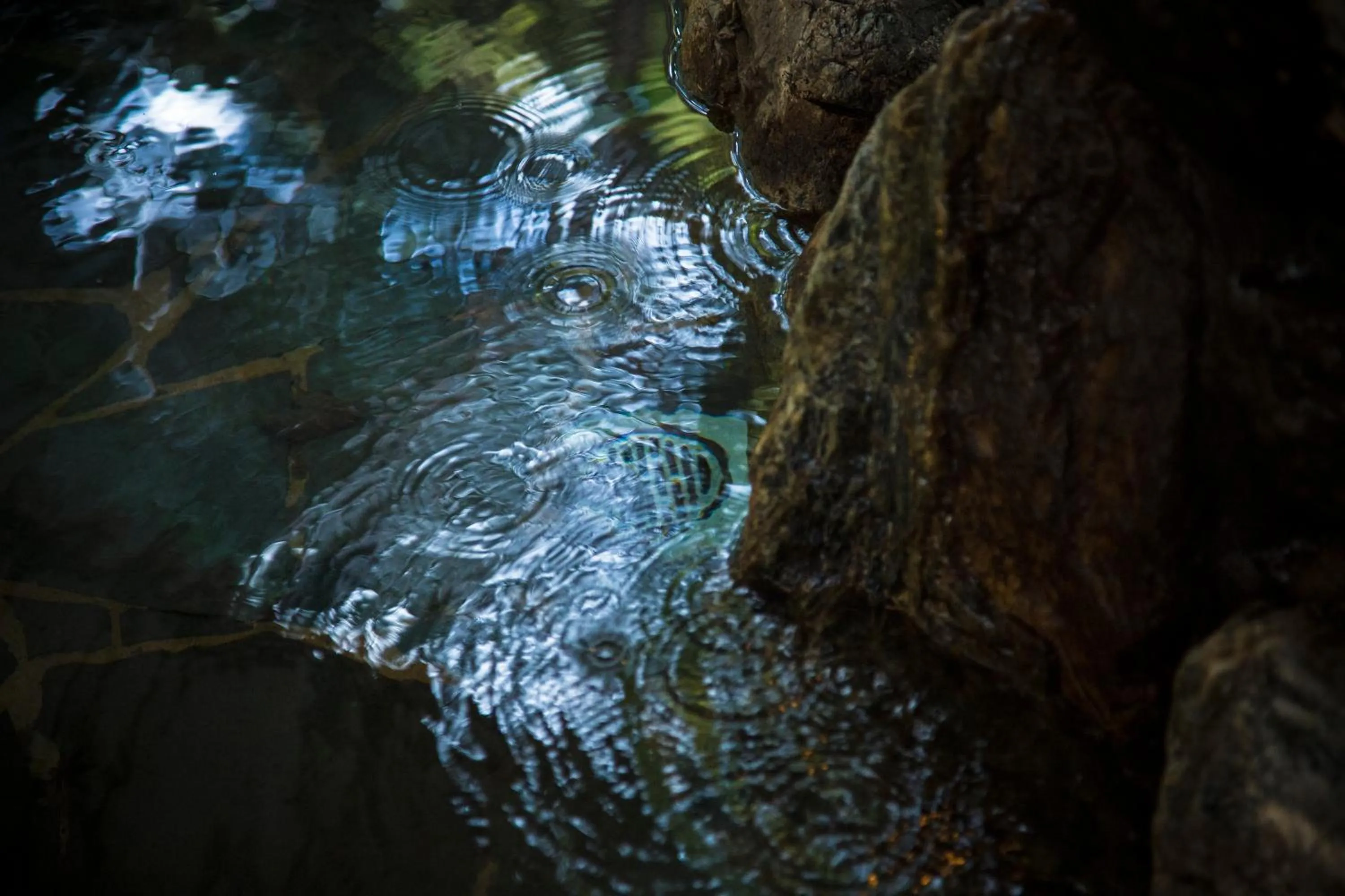 Open Air Bath in Hotel Kitanoya