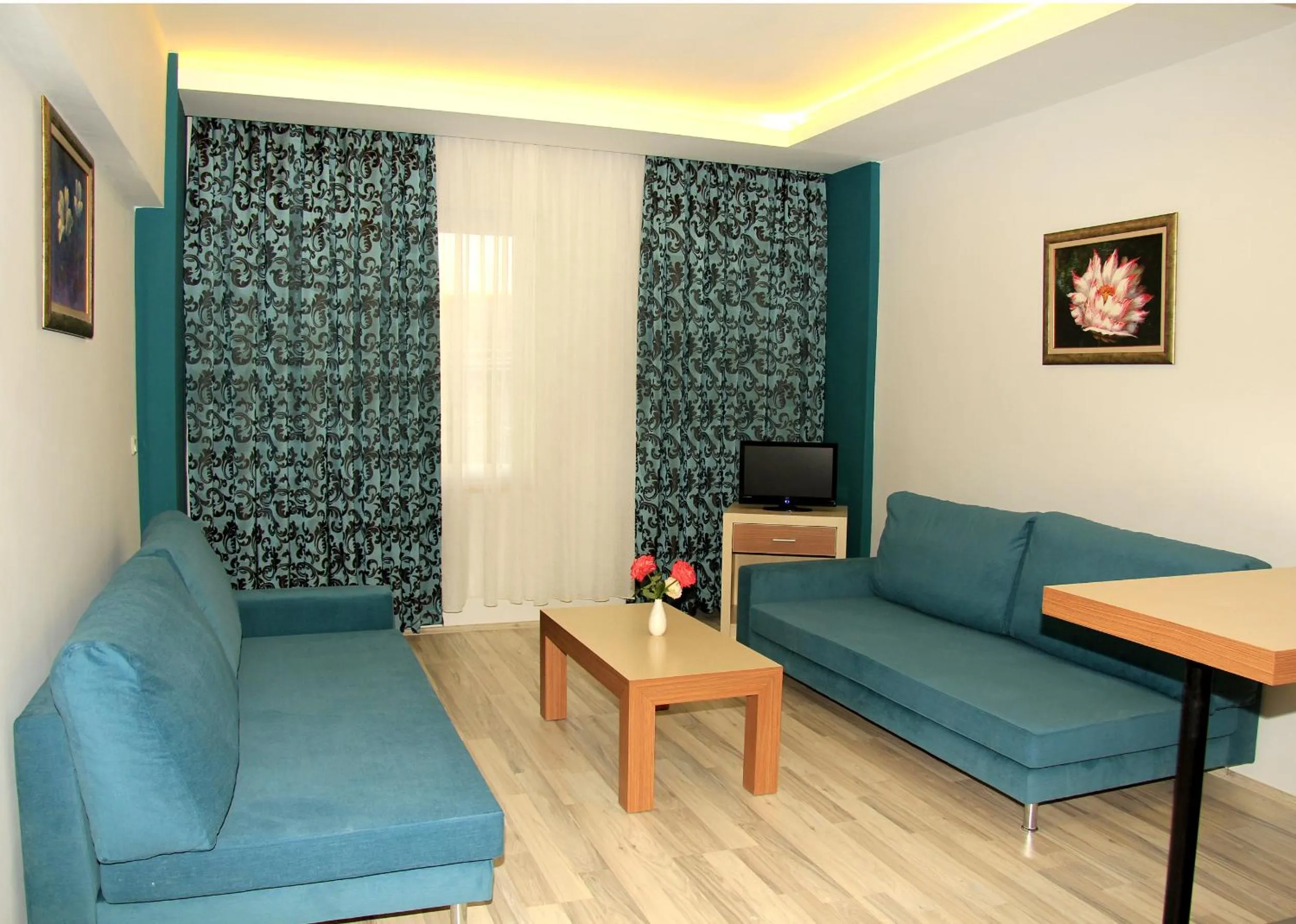 TV and multimedia in Ark Apart and Suite Hotel