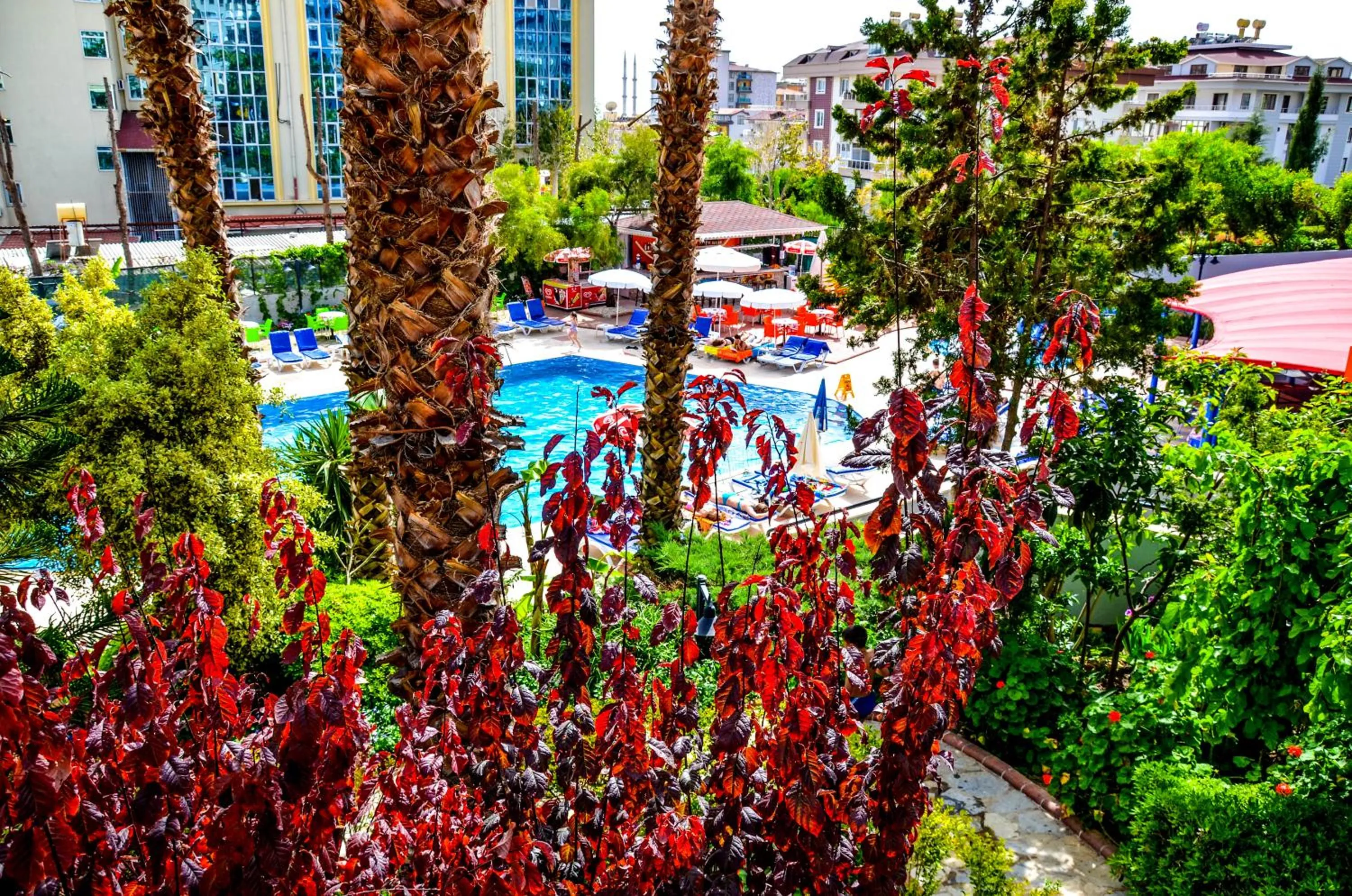 Garden in Ark Apart and Suite Hotel