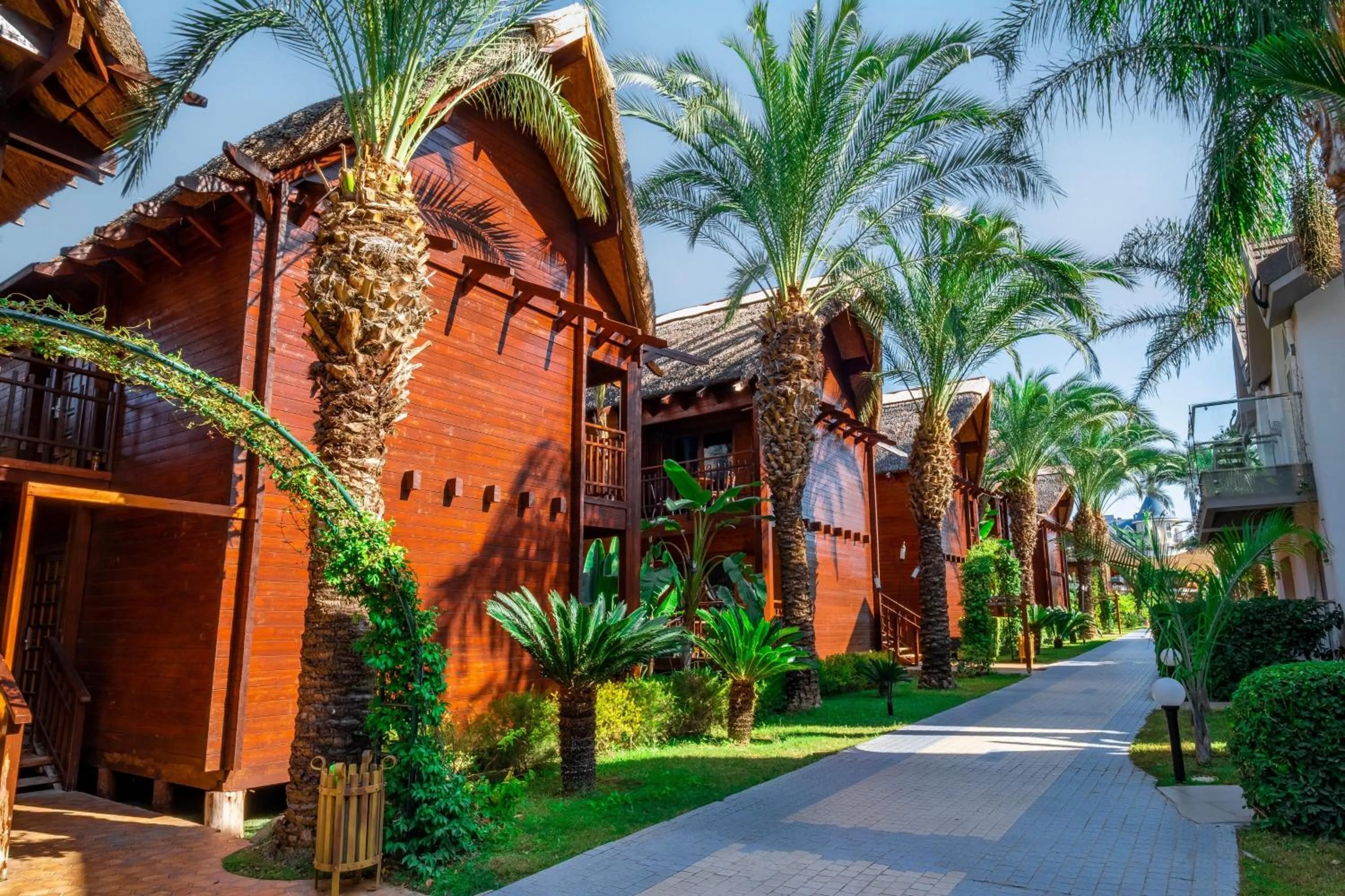 Photo of the whole room in Long Beach Alanya - Ultra All Inclusive