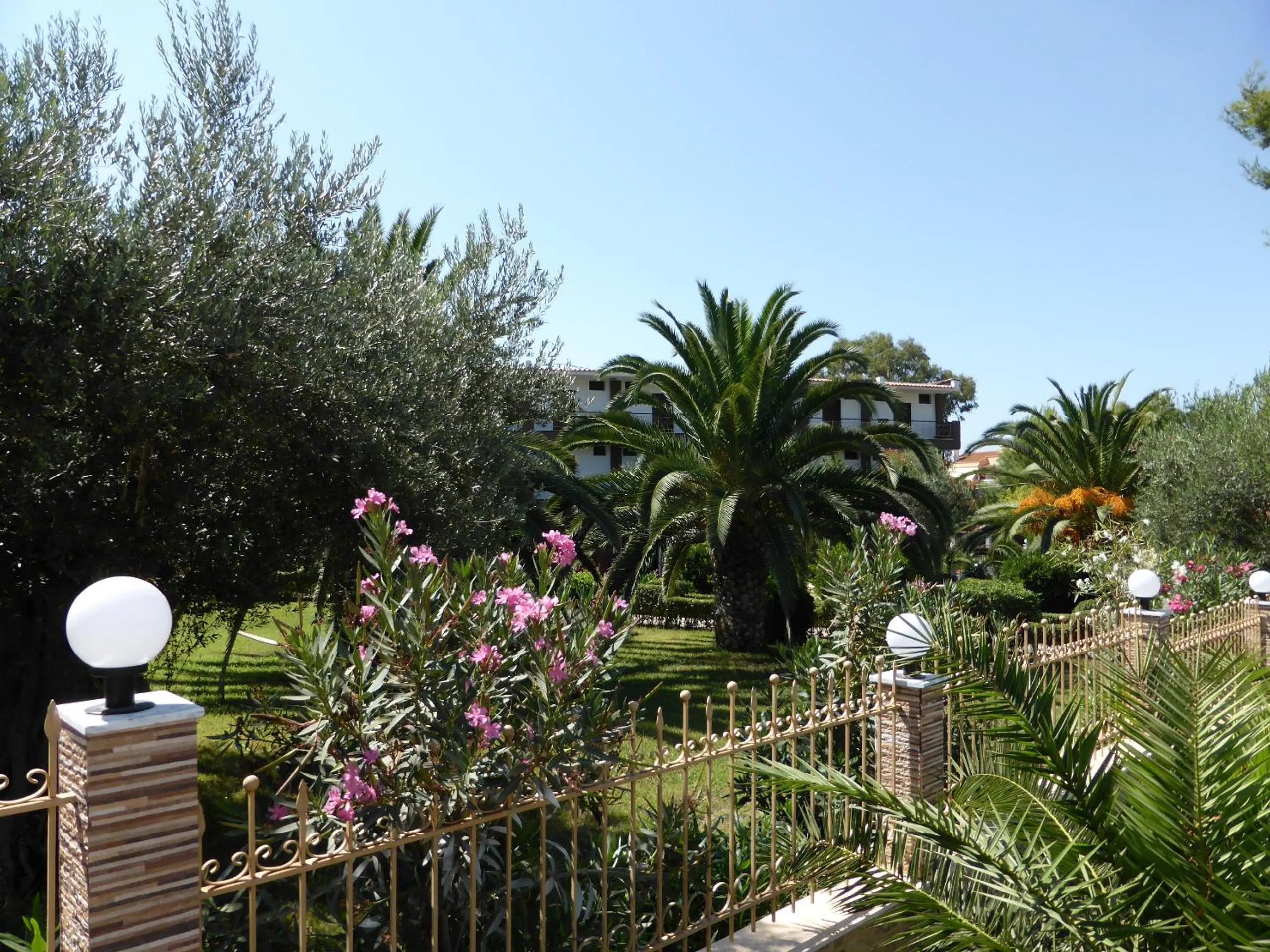 Garden in Porto Matina