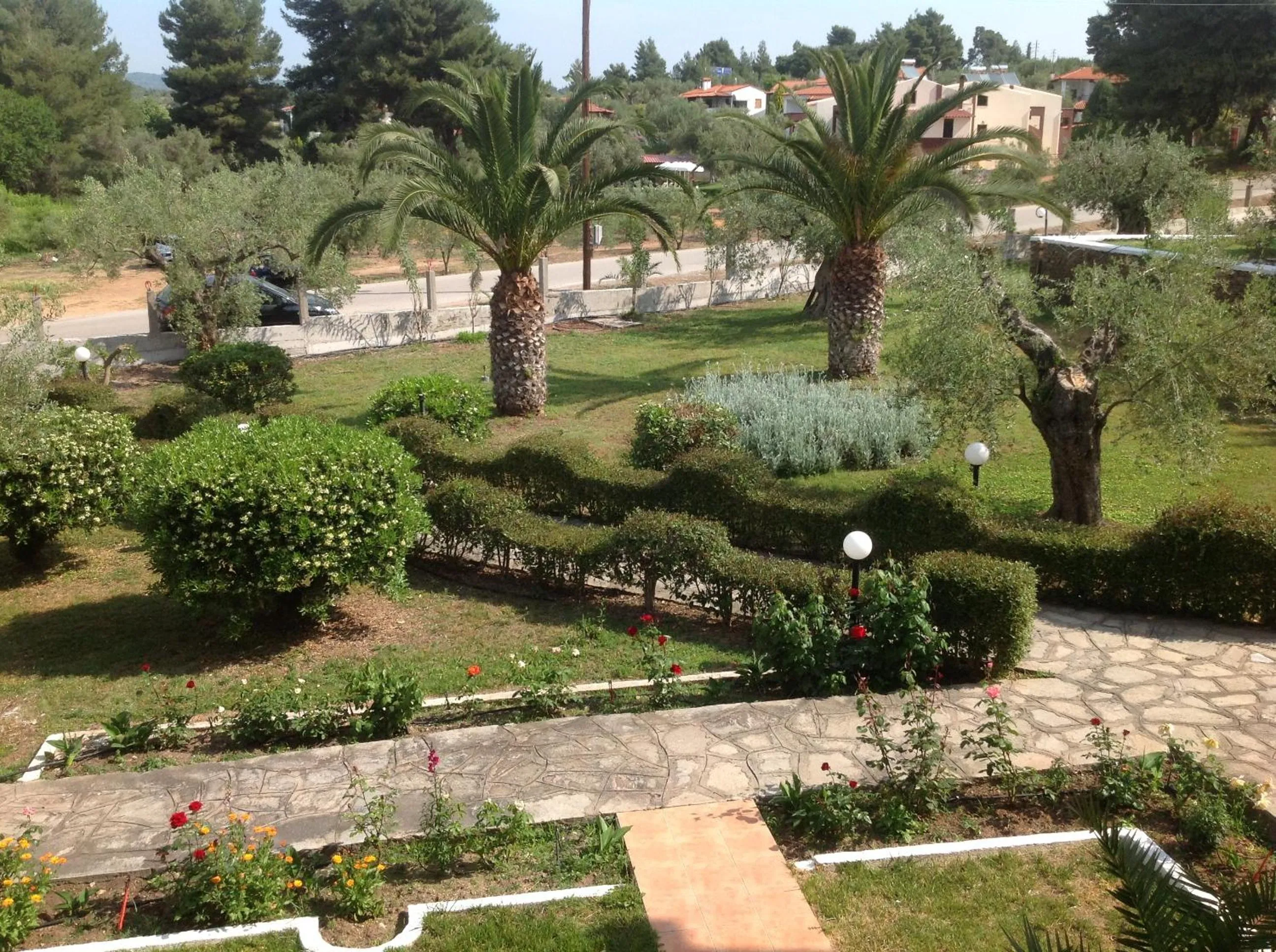 Garden in Porto Matina
