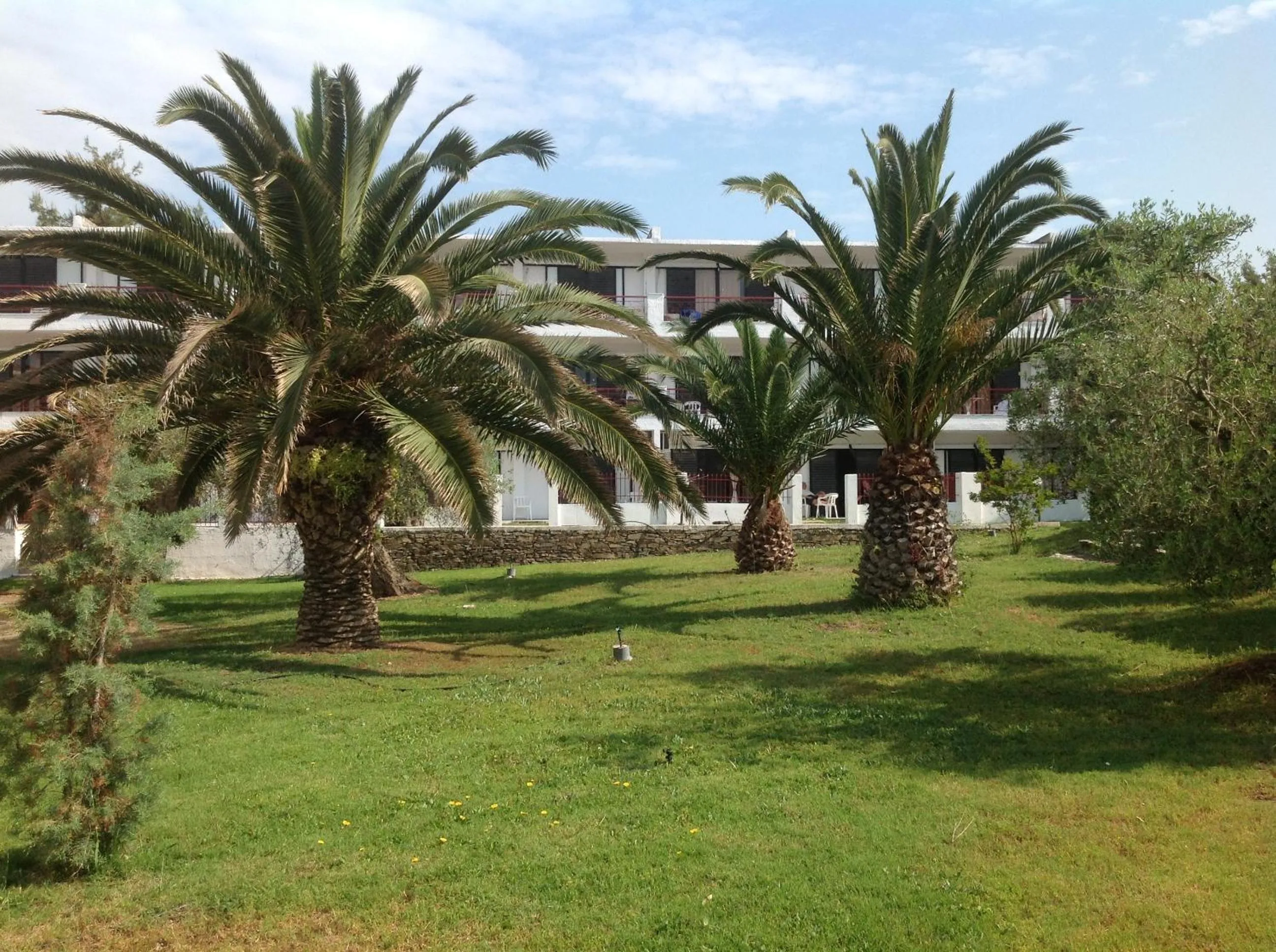 Garden in Porto Matina
