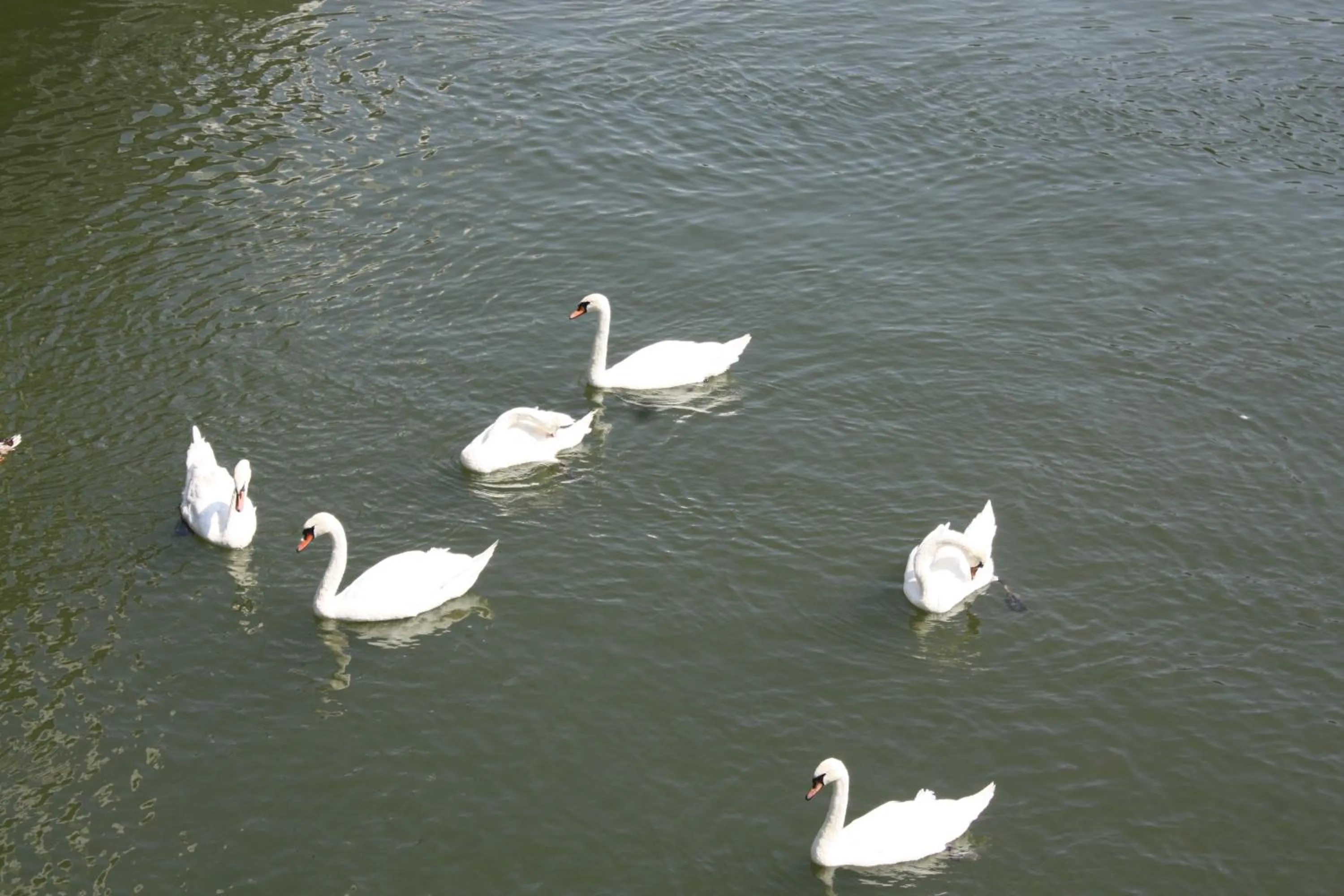 Off site in Hotel Park