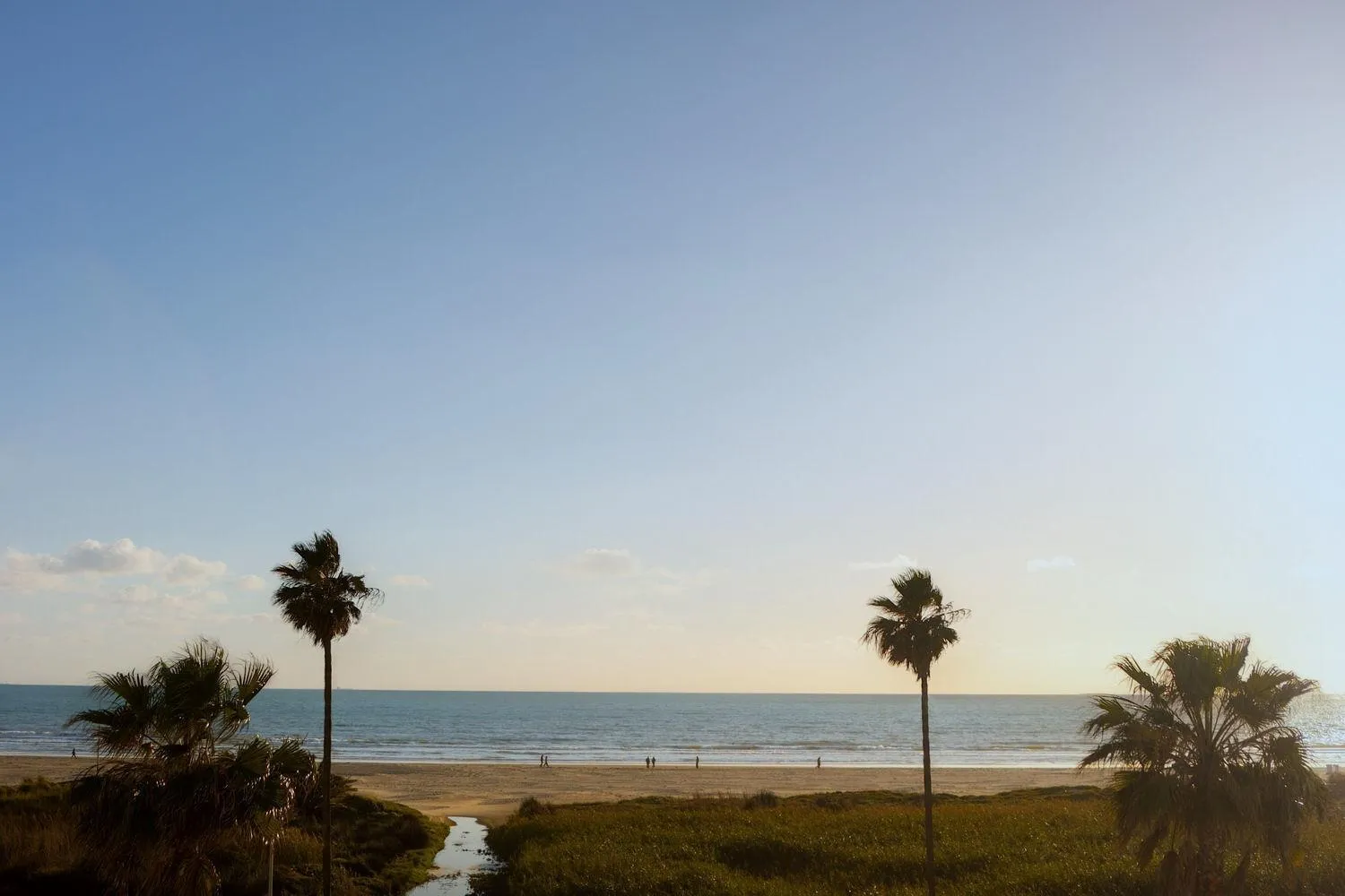 Natural landscape in Hotel Playa Conil - Beachfront Studios & Suites