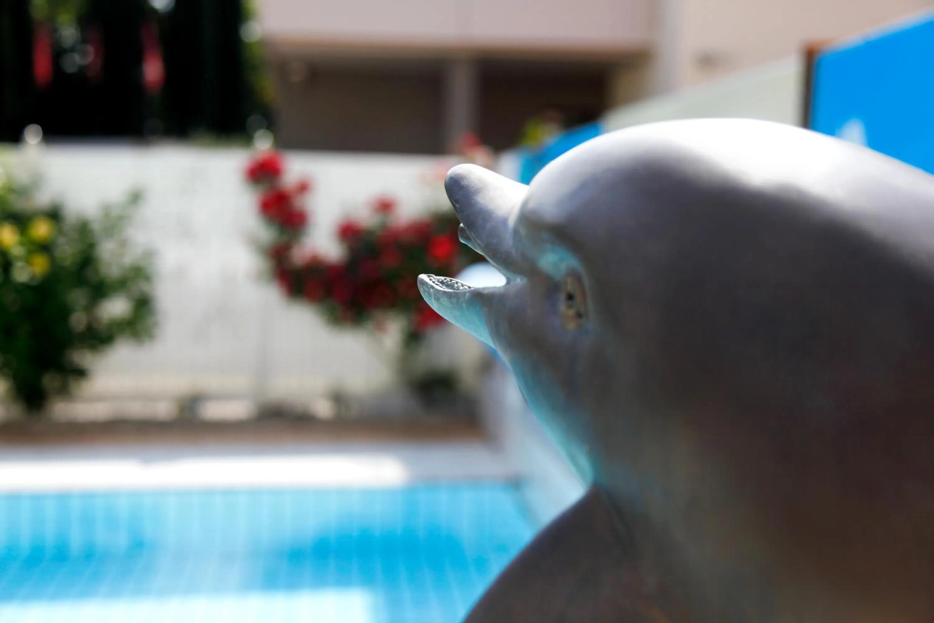 Day in Hotel Miorelli