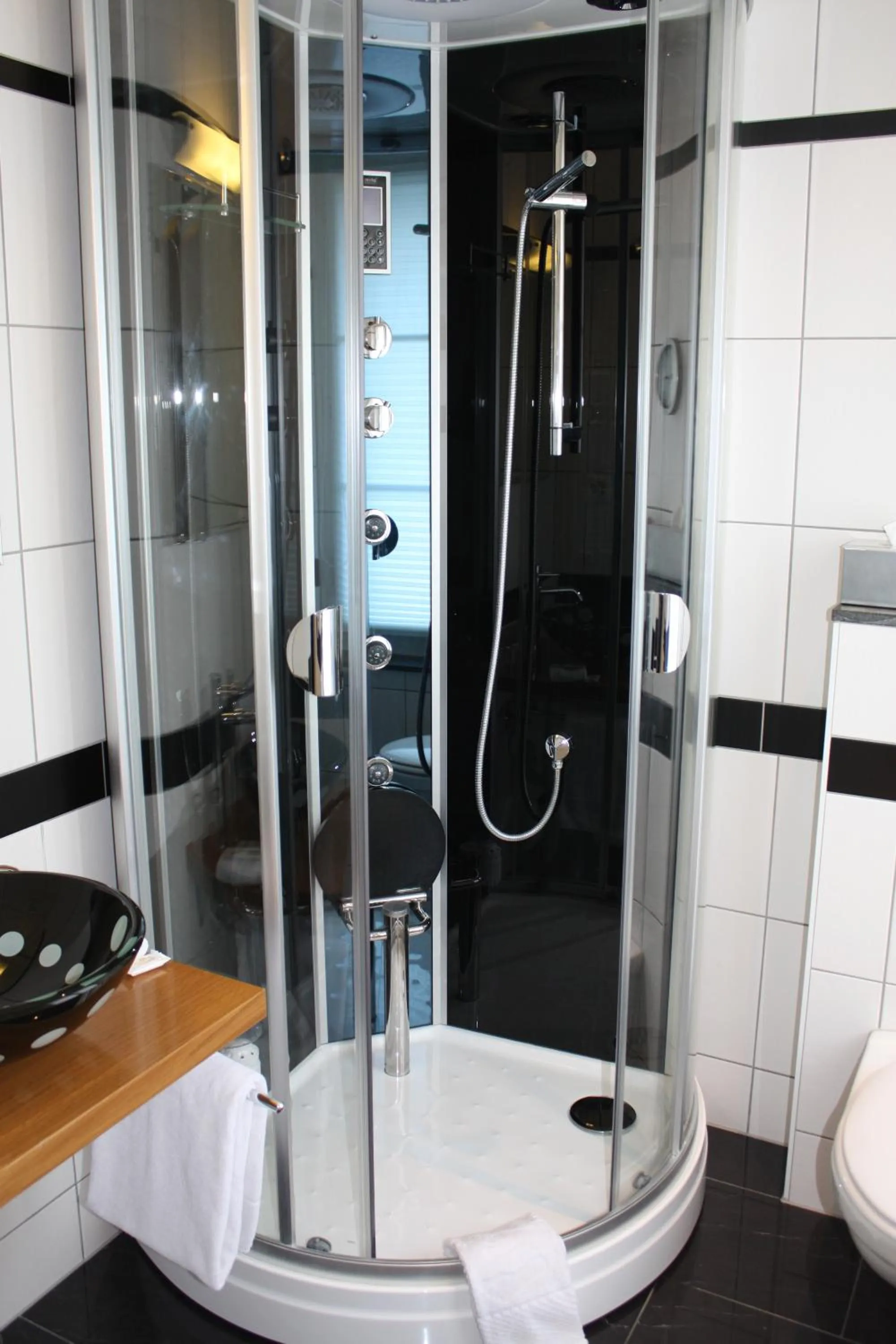 Shower in Hotel Krone Sihlbrugg