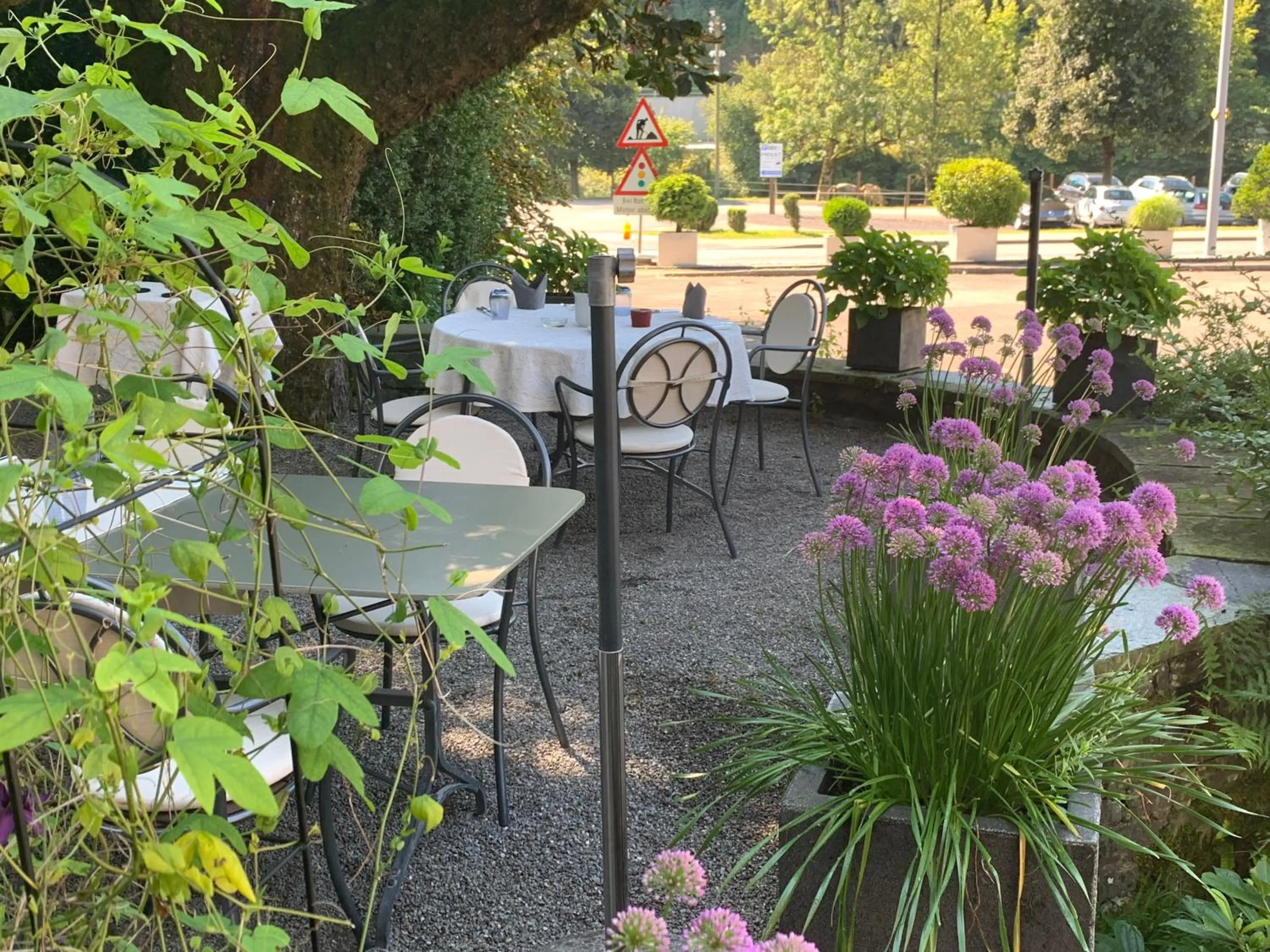Garden in Hotel Krone Sihlbrugg