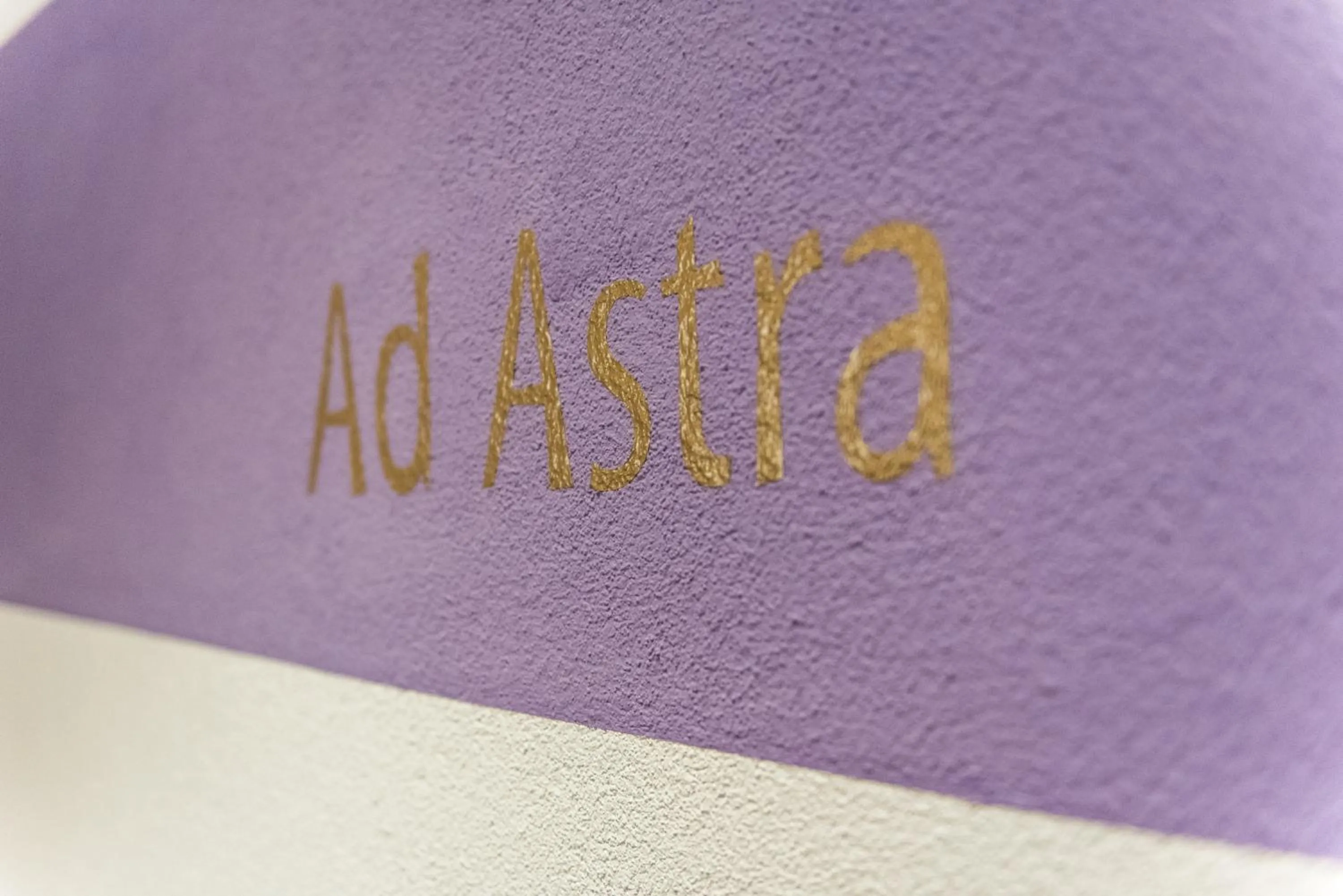 Logo/Certificate/Sign in Hotel Krone Sihlbrugg