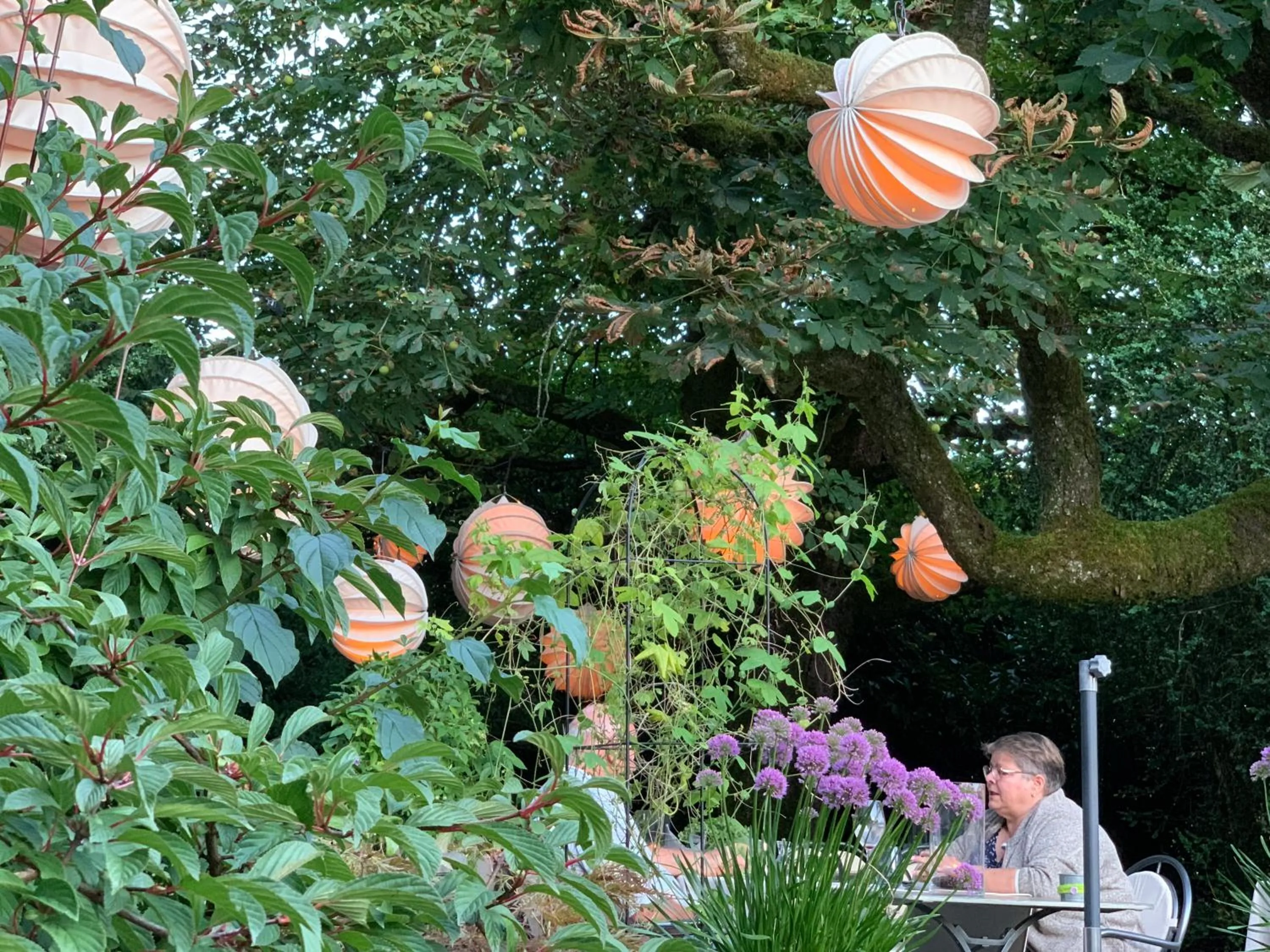 Garden in Hotel Krone Sihlbrugg