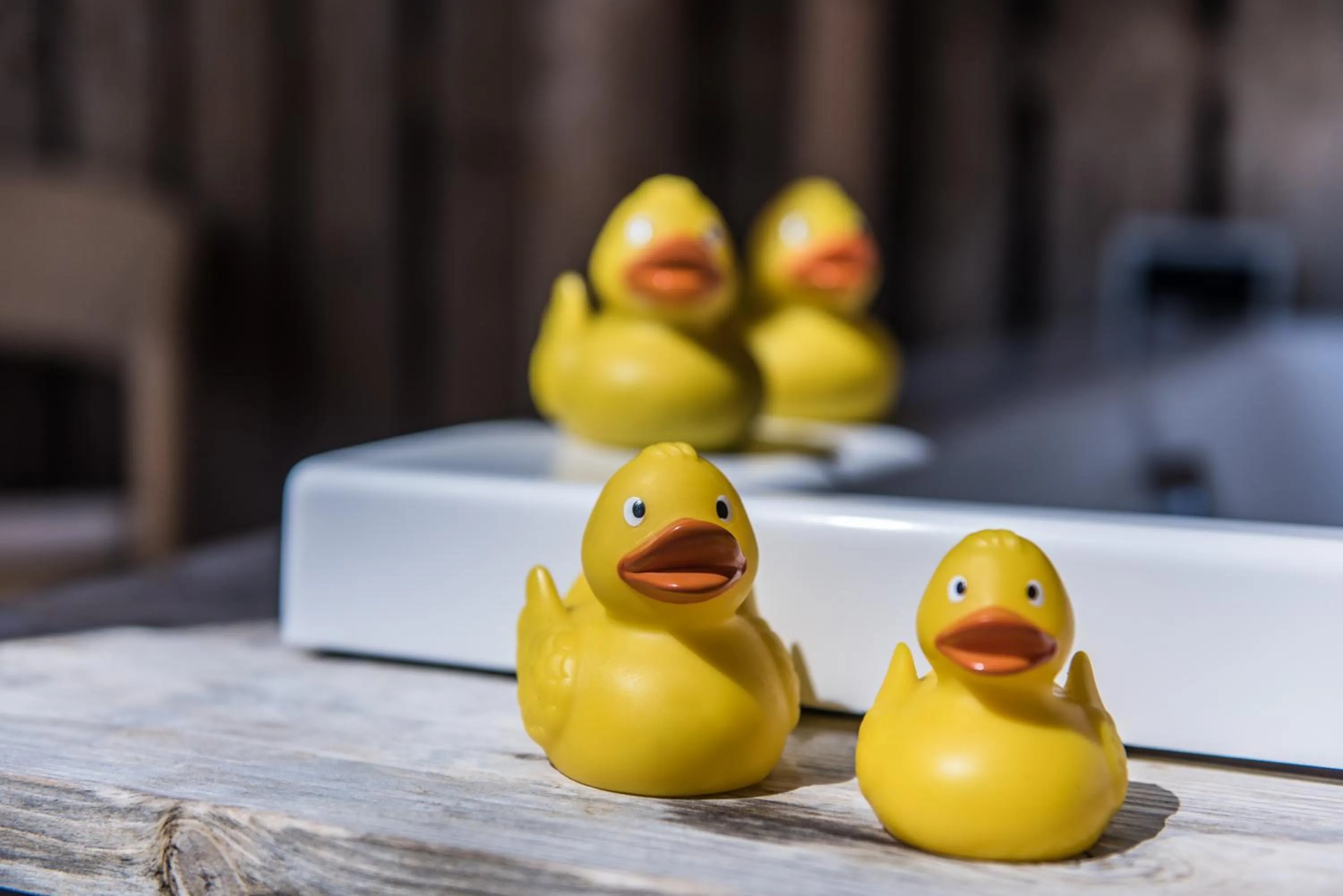 Other in Hotel Krone Sihlbrugg