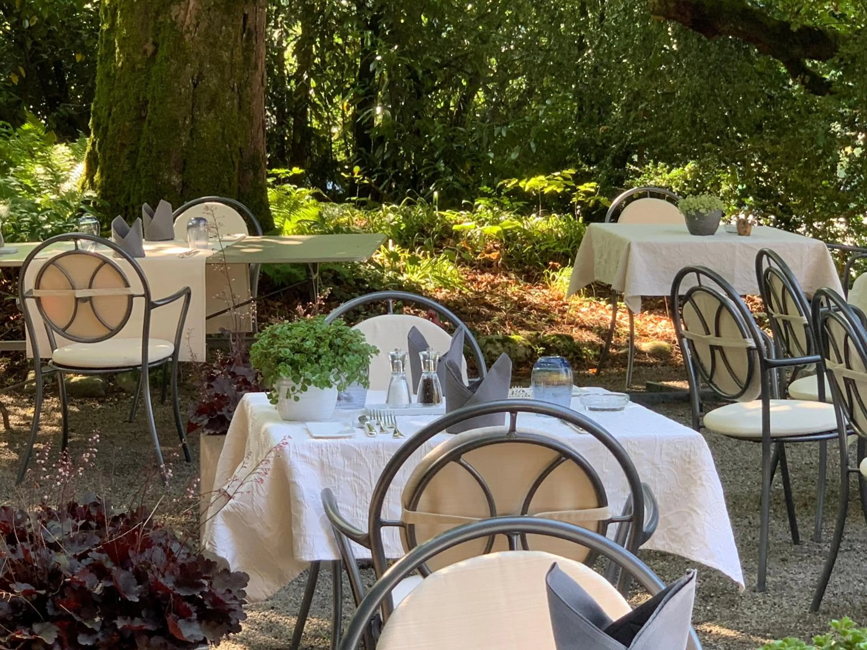 Garden in Hotel Krone Sihlbrugg
