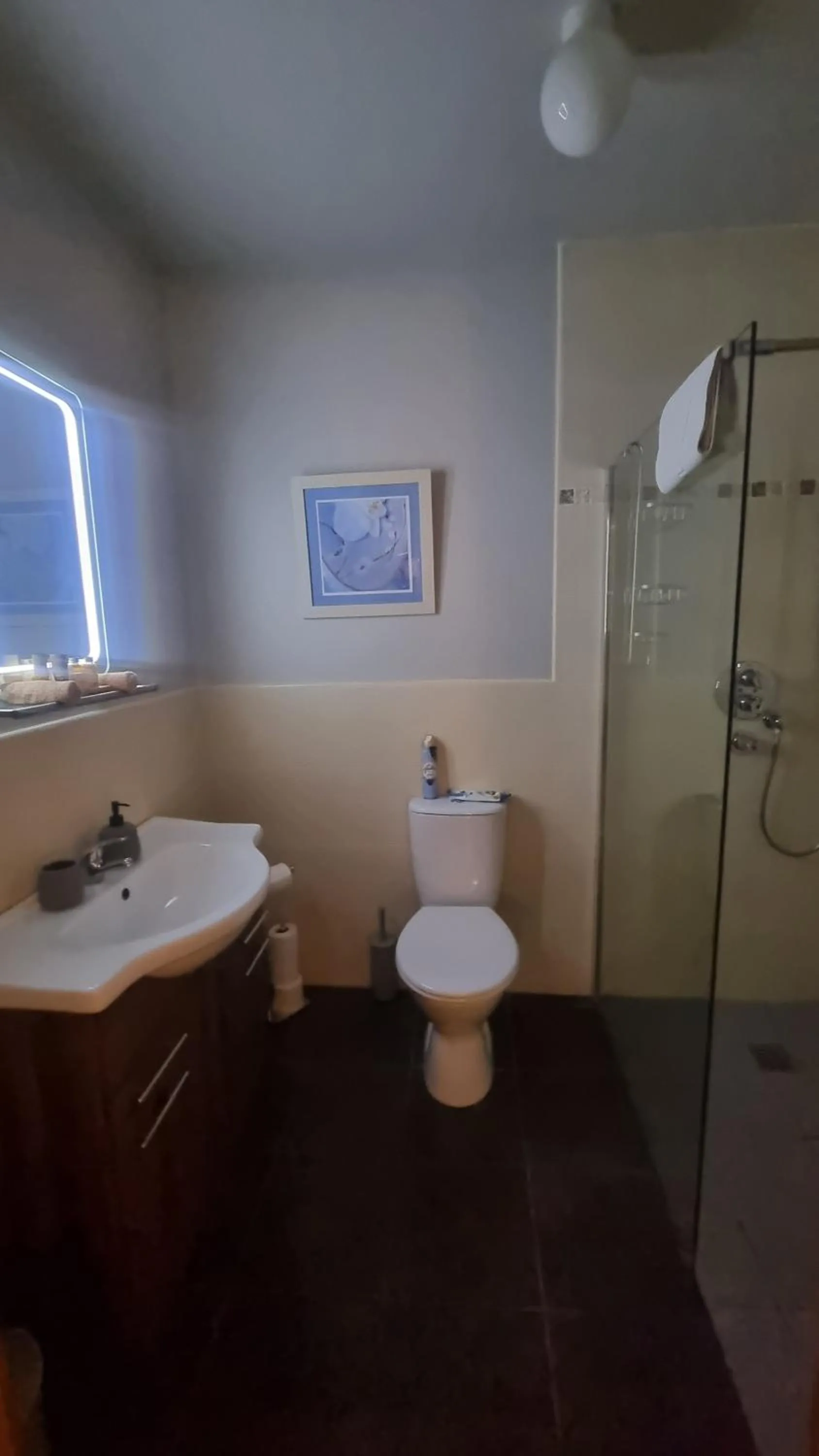 Shower in Fab View