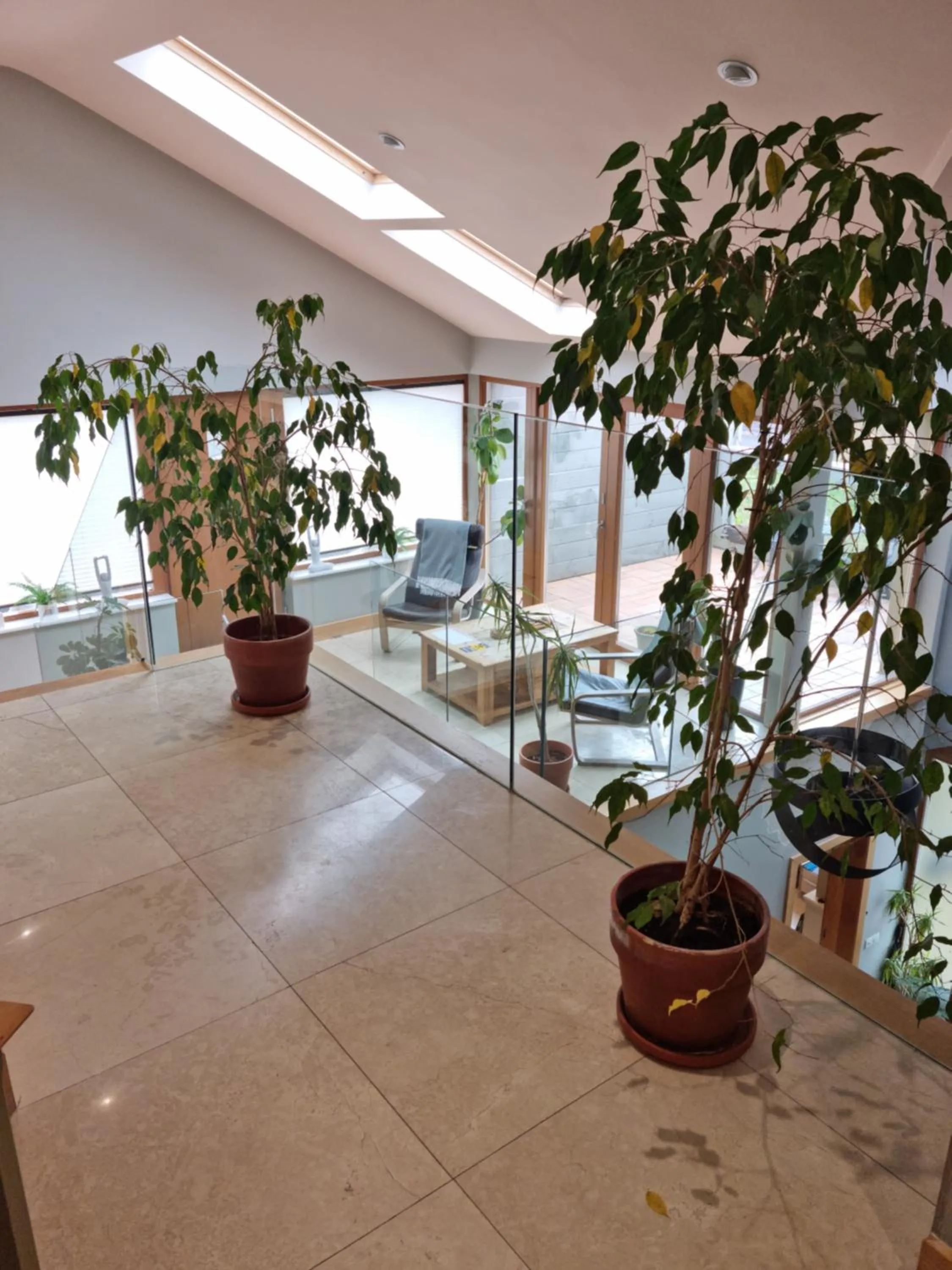 Property building in Fab View