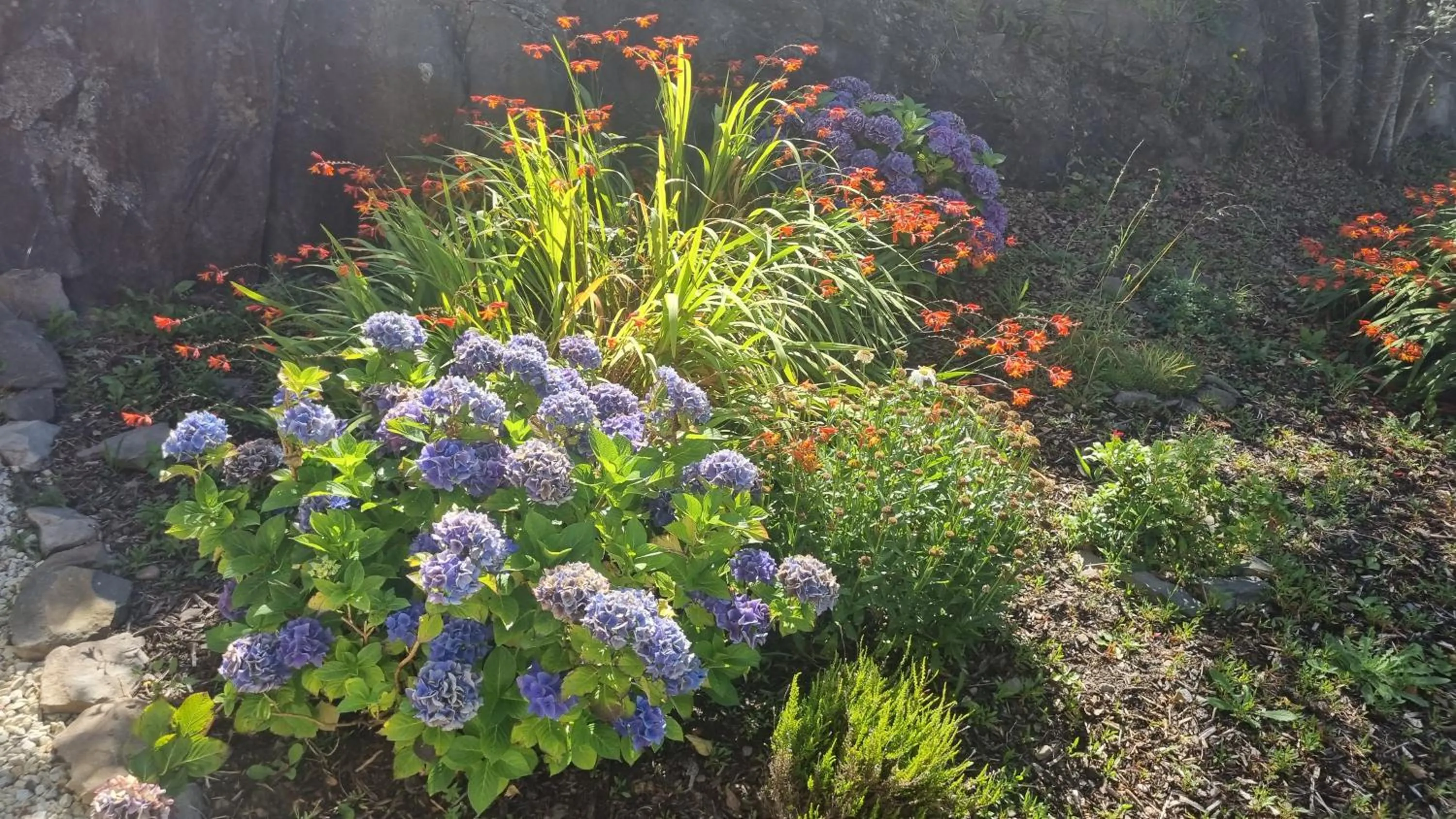 Spring in Fab View