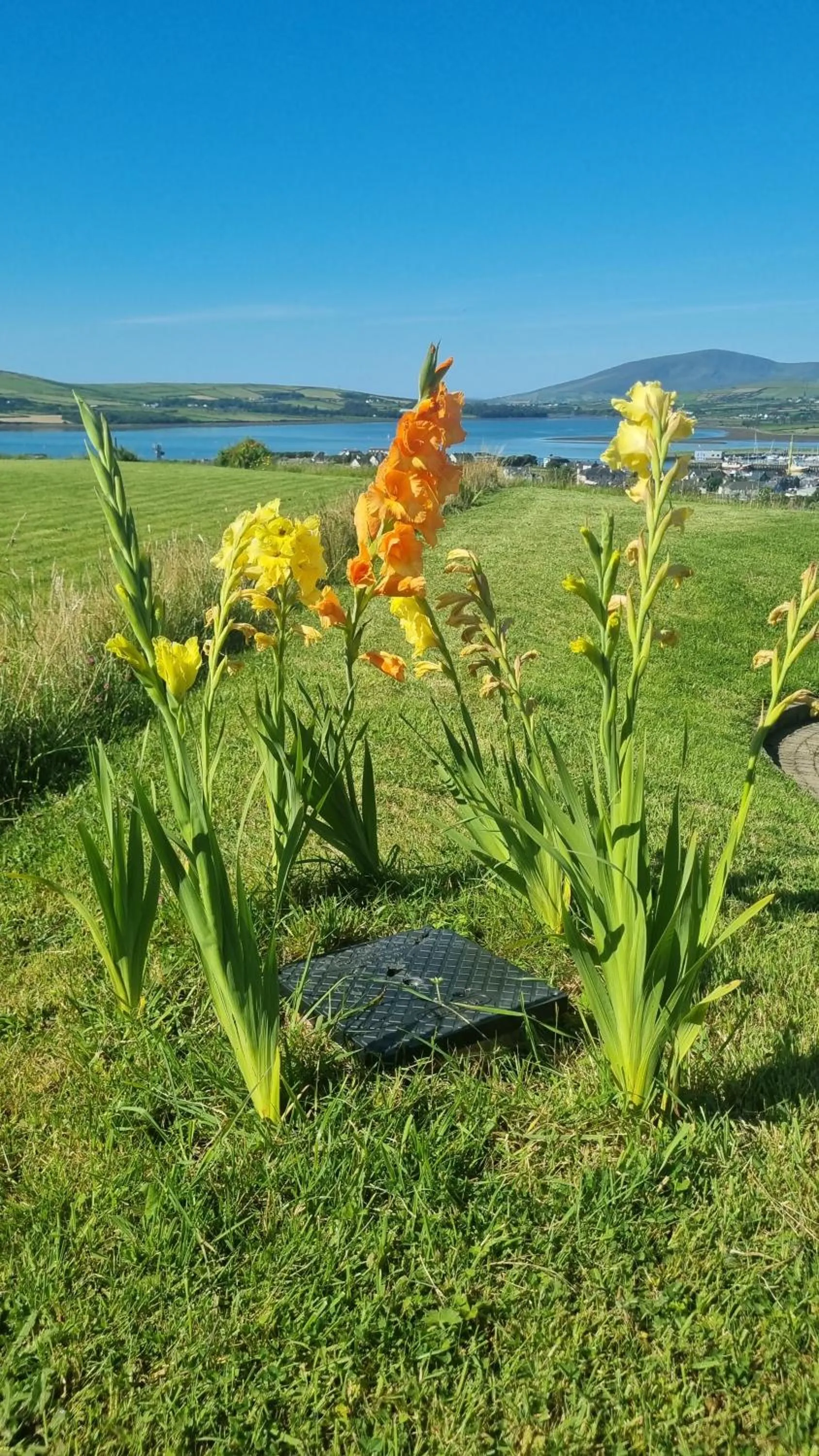 Spring in Fab View