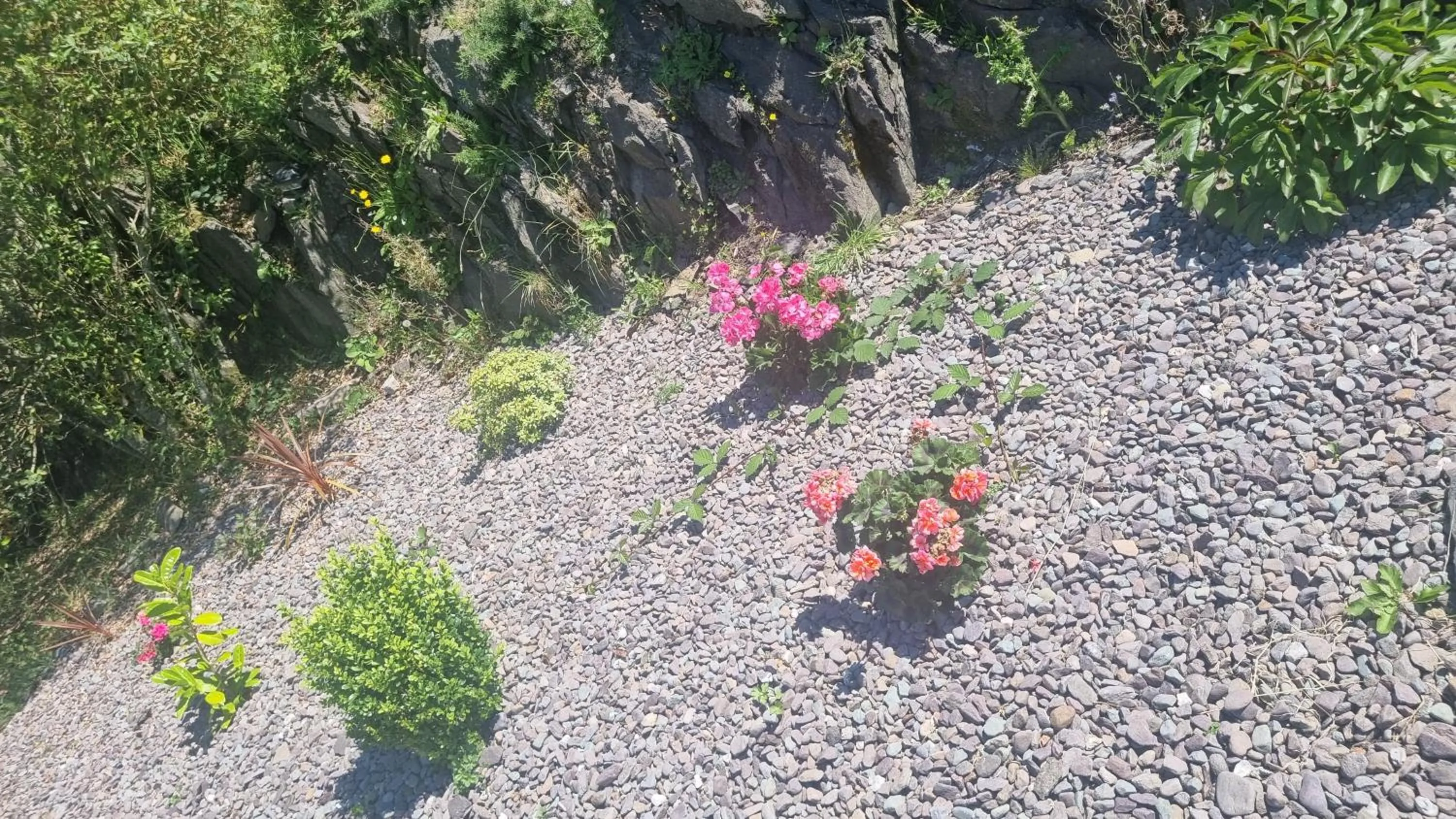 Spring in Fab View
