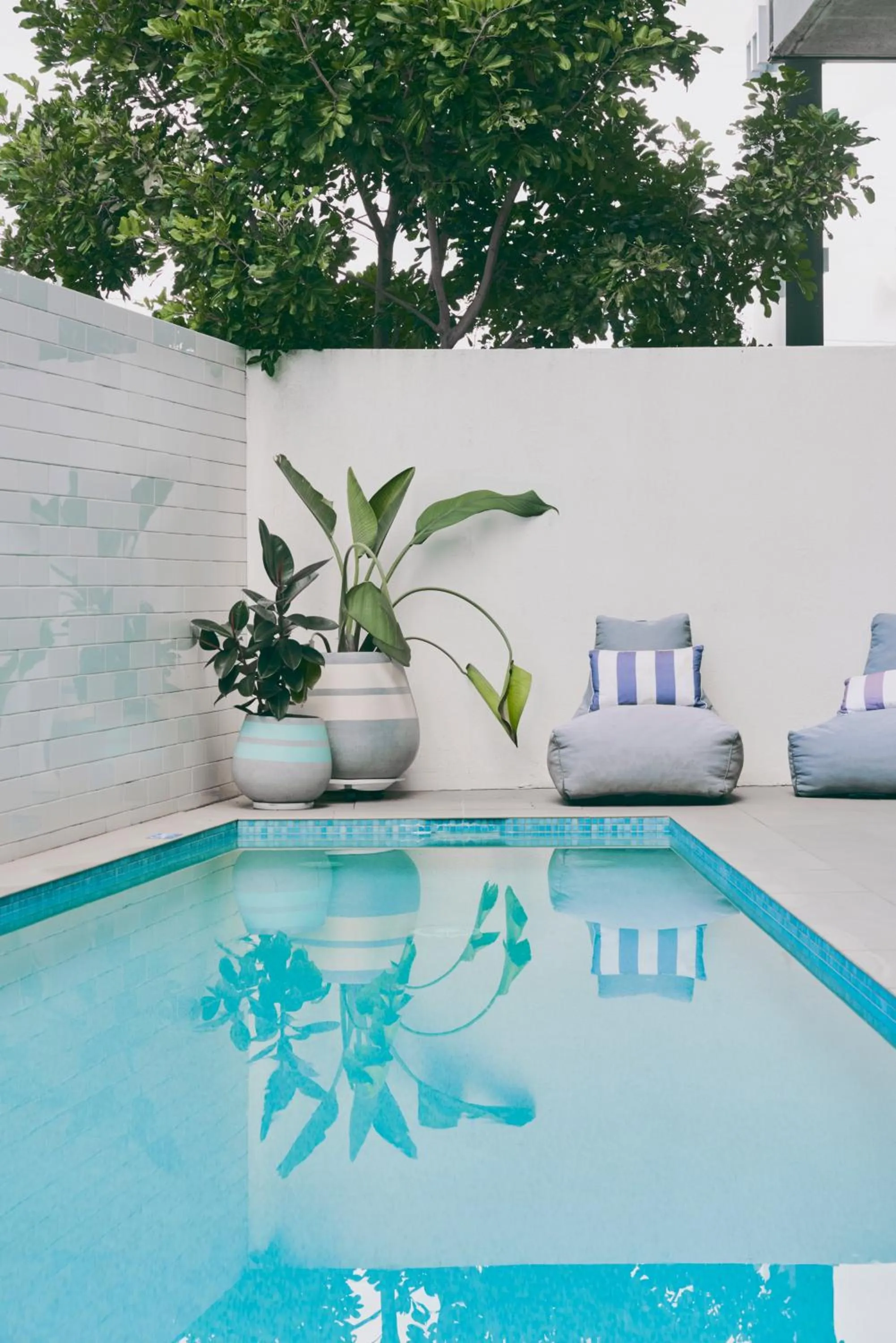 Swimming pool in Quest Cannon Hill