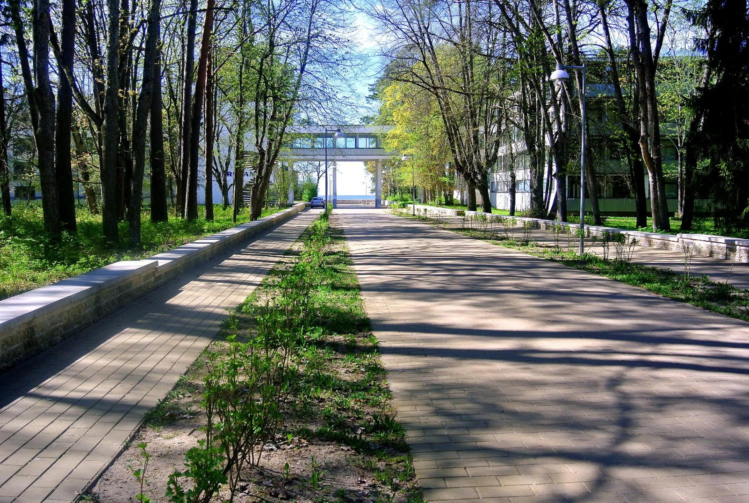 Neighbourhood in Hotel Yes